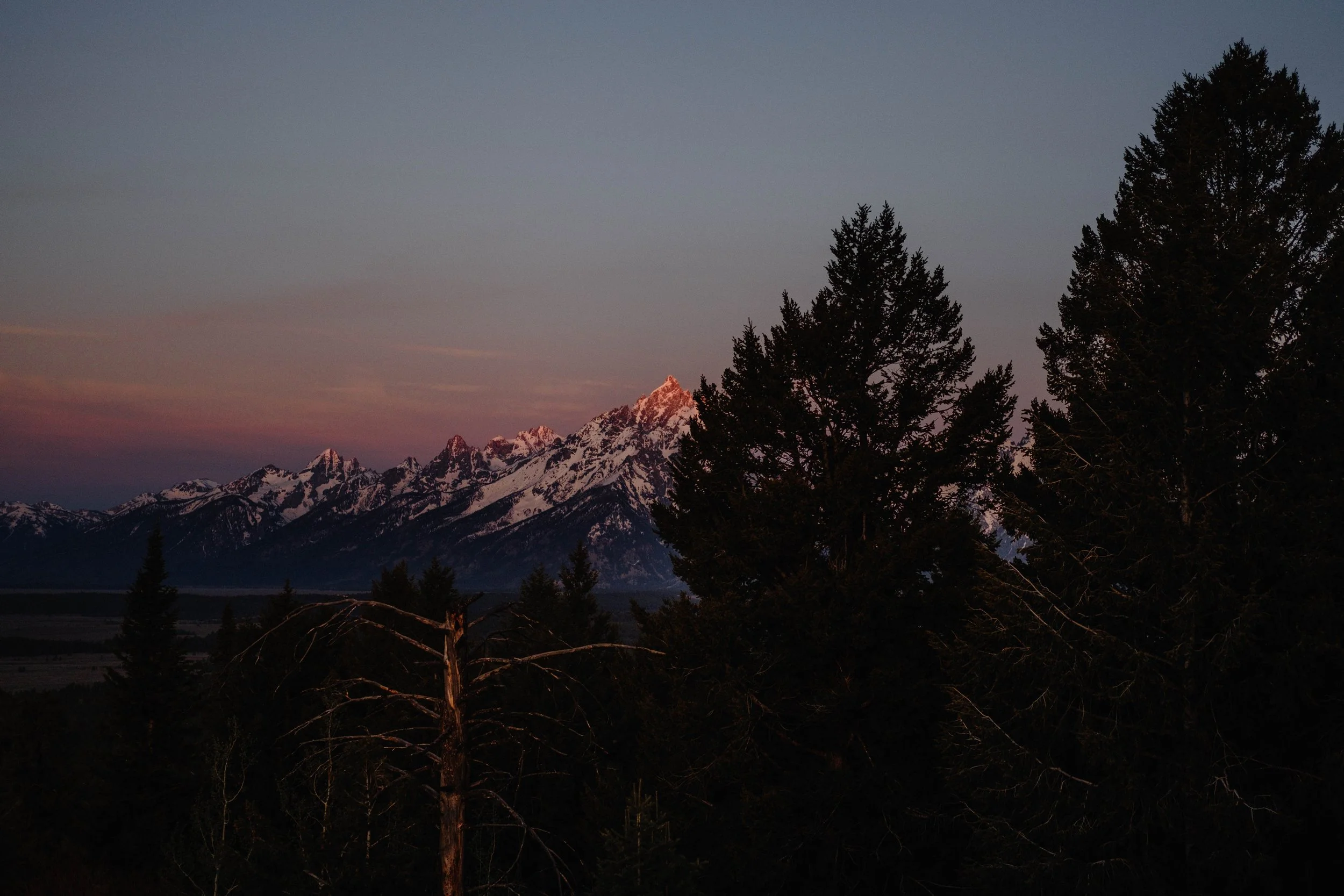 DSCF8416.jpg