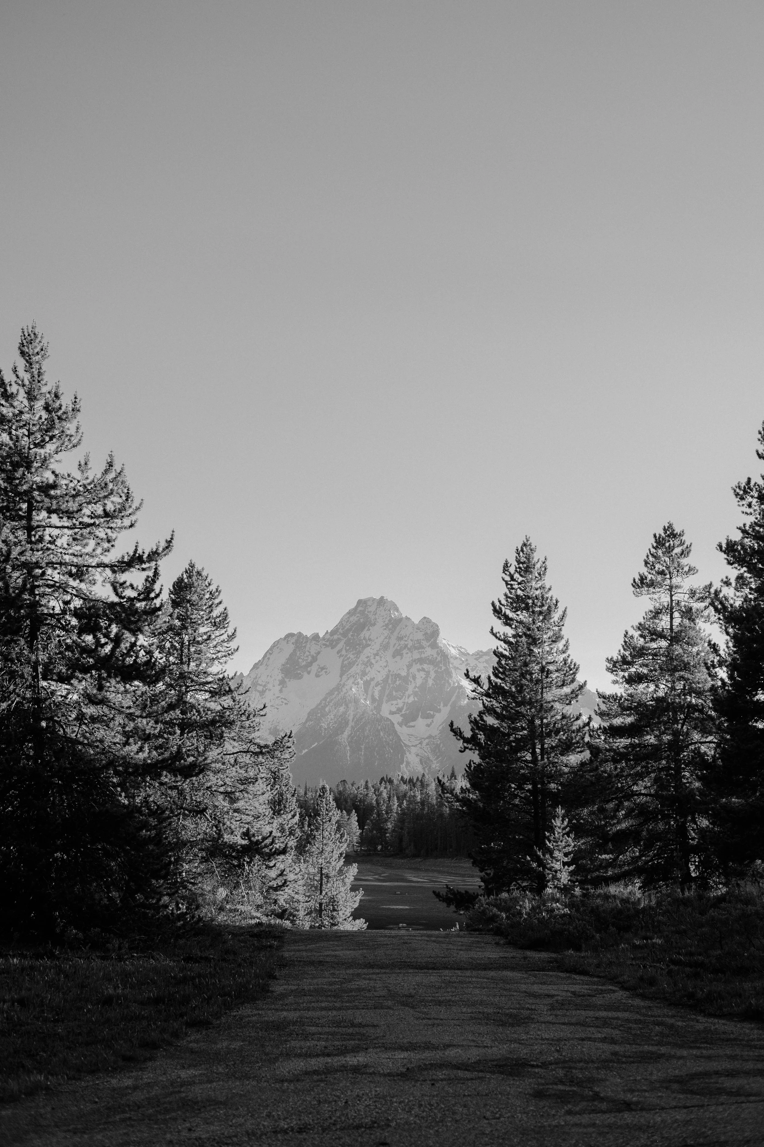 DSCF8413.jpg