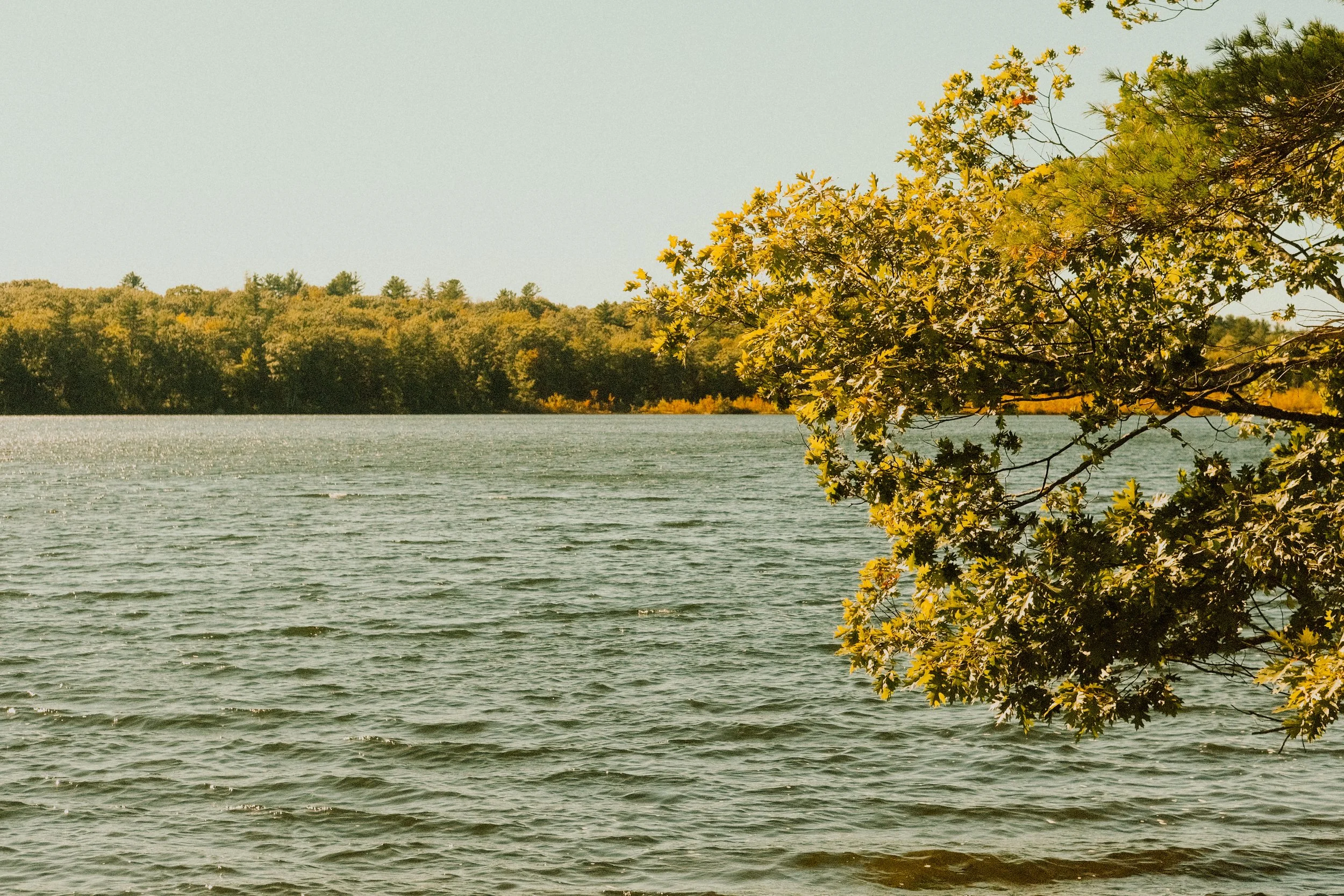 DSCF8690.jpg