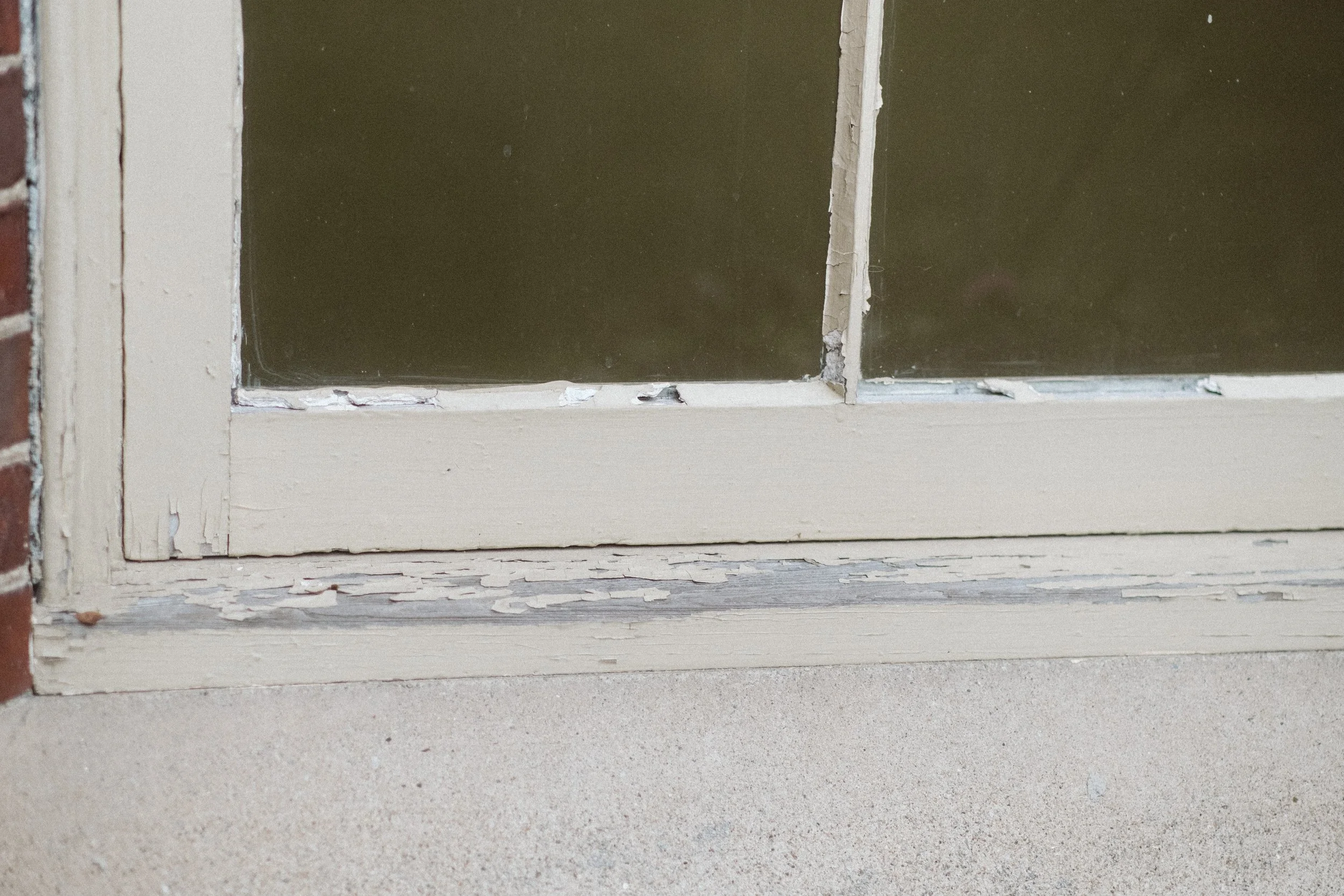 DSCF9339.jpg