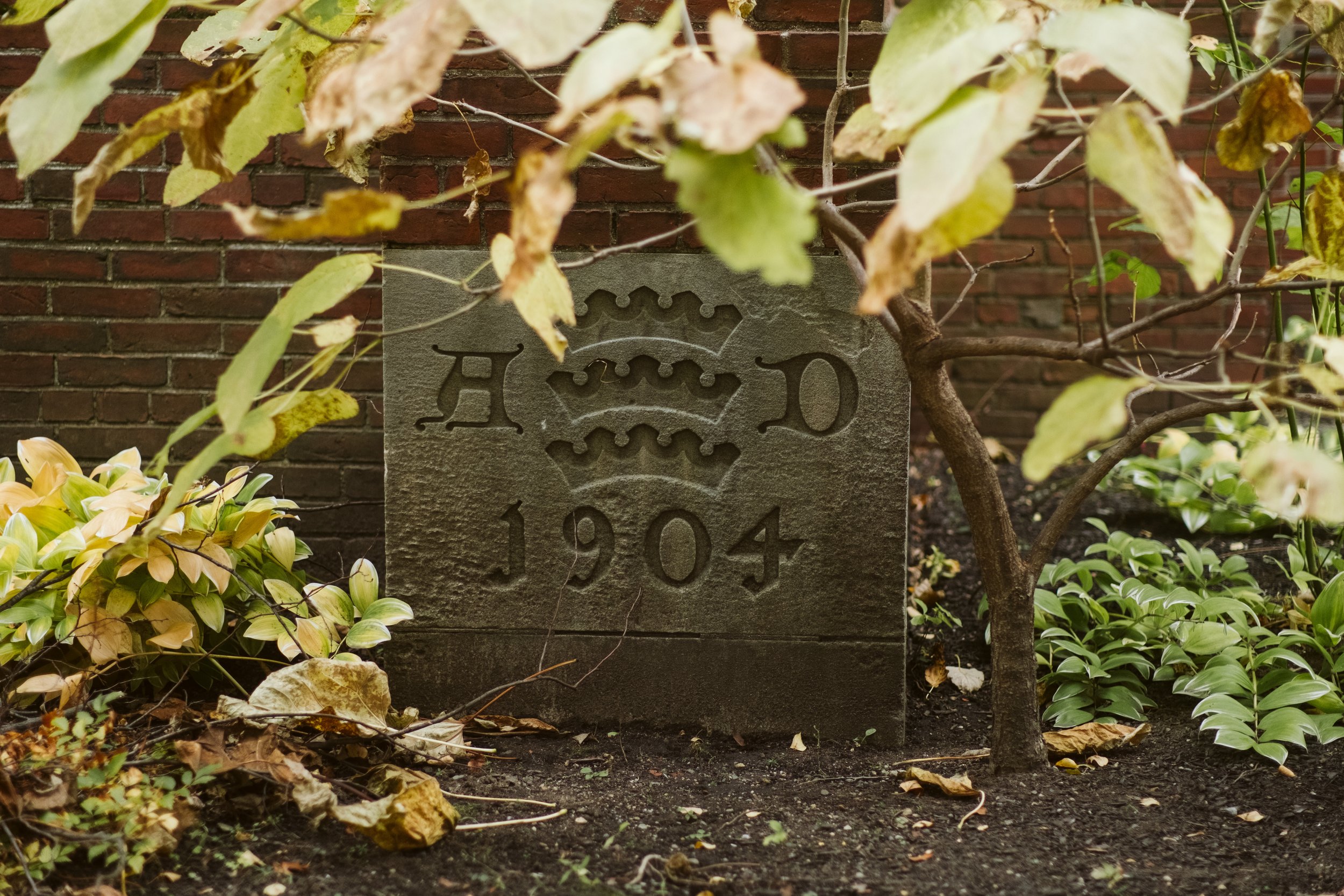 DSCF9326.jpg