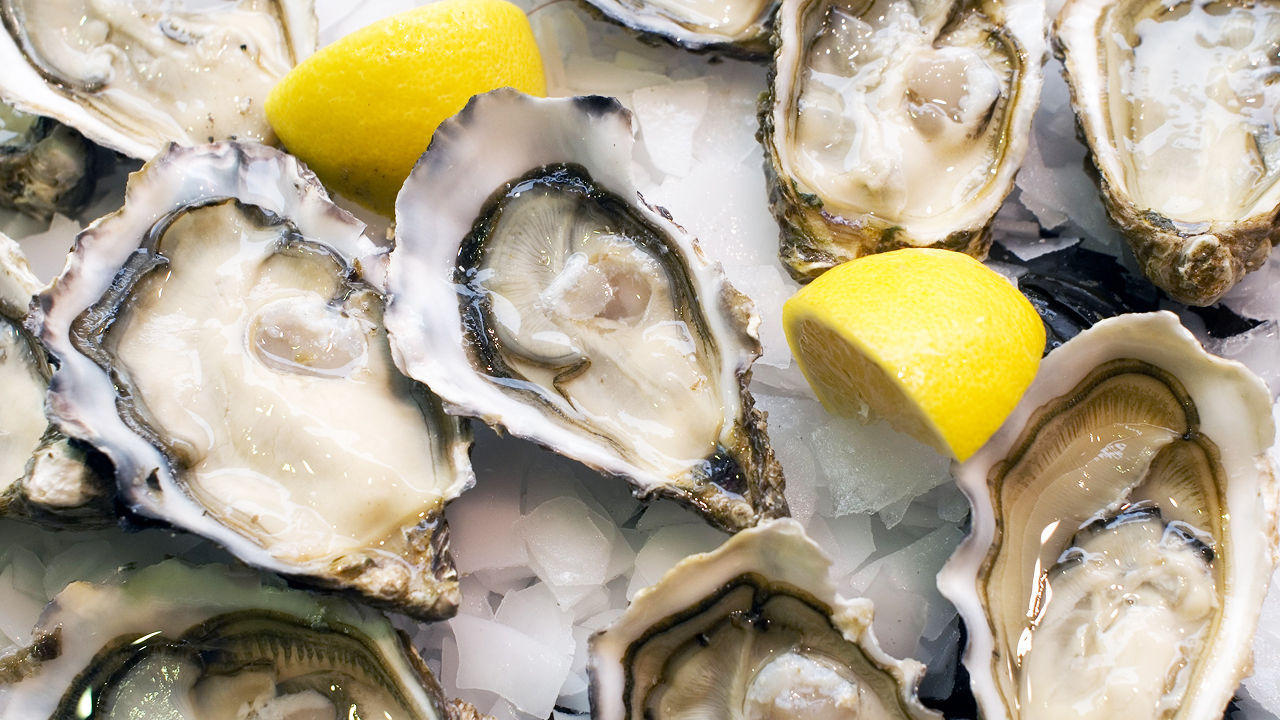 3017128-poster-1280-oysters.jpg