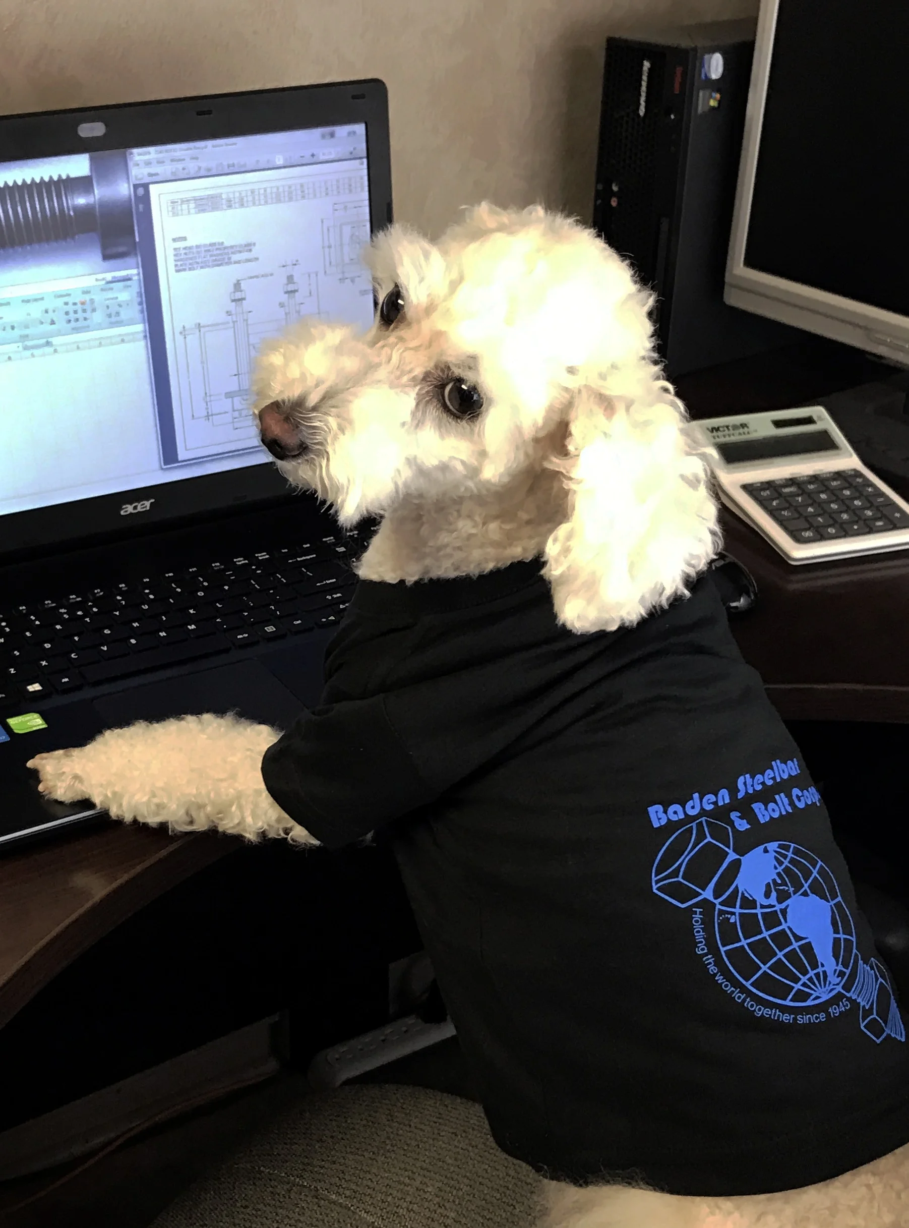 Molli, Office Intern