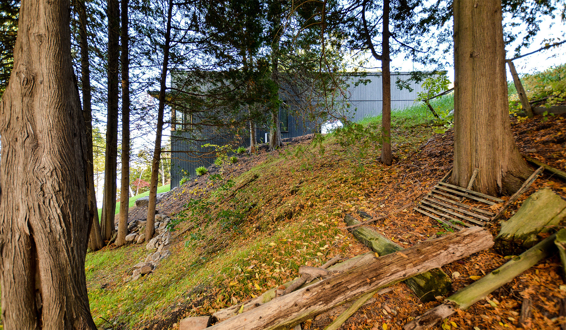 West Elevation compressed.jpg