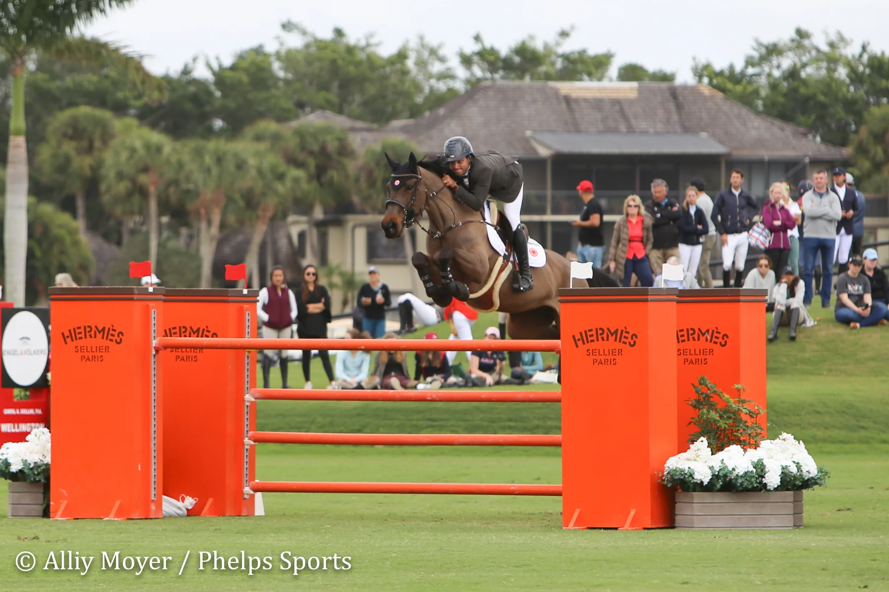 Bluman Bests America’s Sweethearts, Madden and Engle, to Capture $205,000 NetJets Grand Prix CSI4*