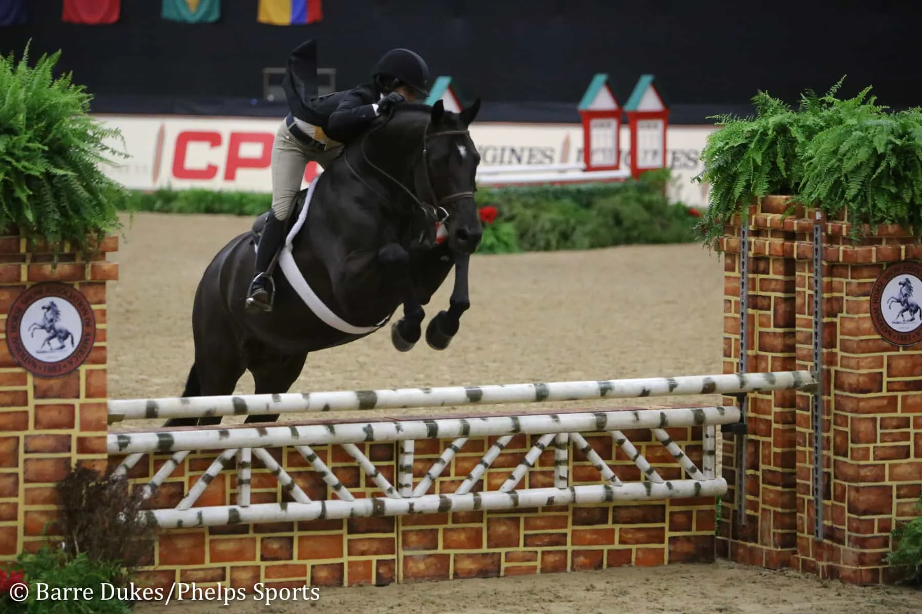 Isha Swani Marks a Spectacular First National Horse Show With Junior 3’3” Hunter Championship