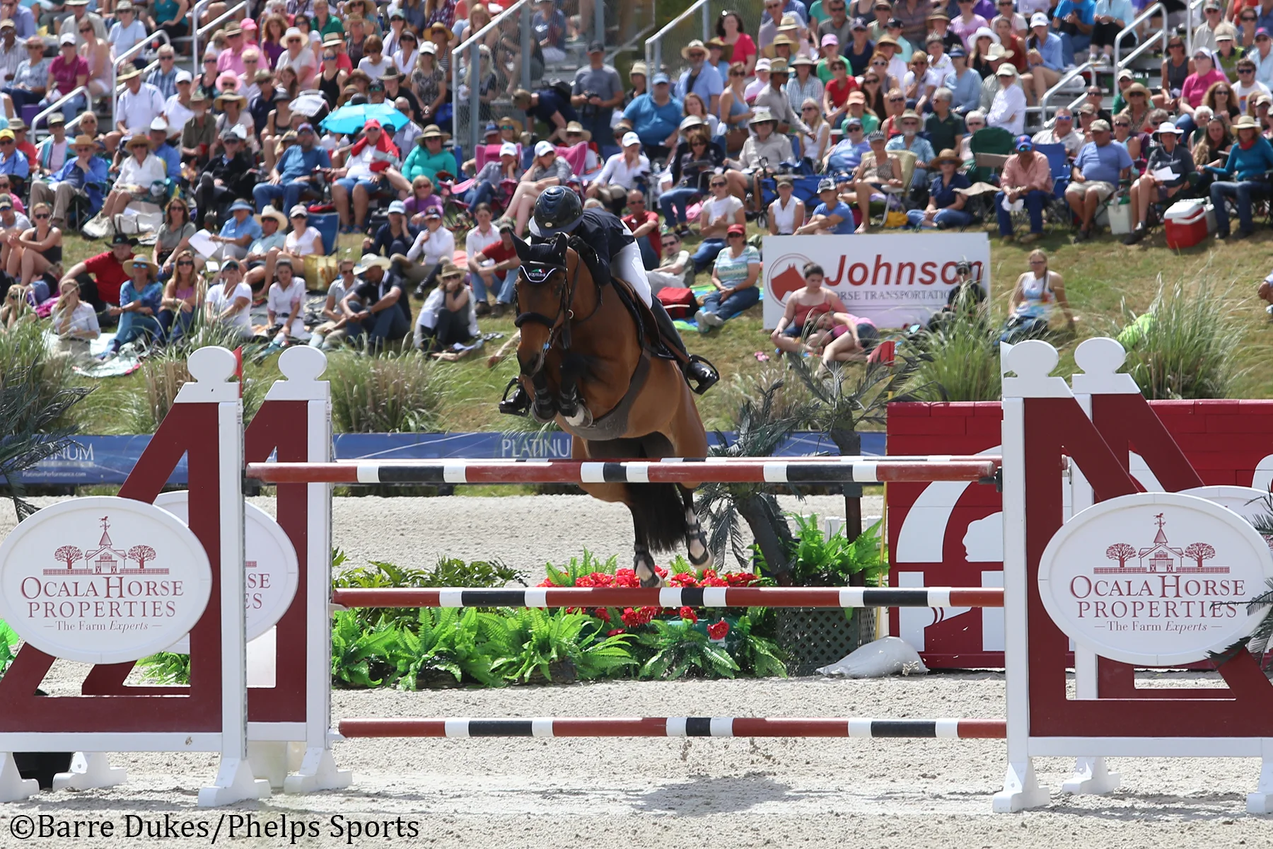 Lauren Hough and OhLaLa take the victory in the Great American $1 Million Grand Prix at HITS Ocala.