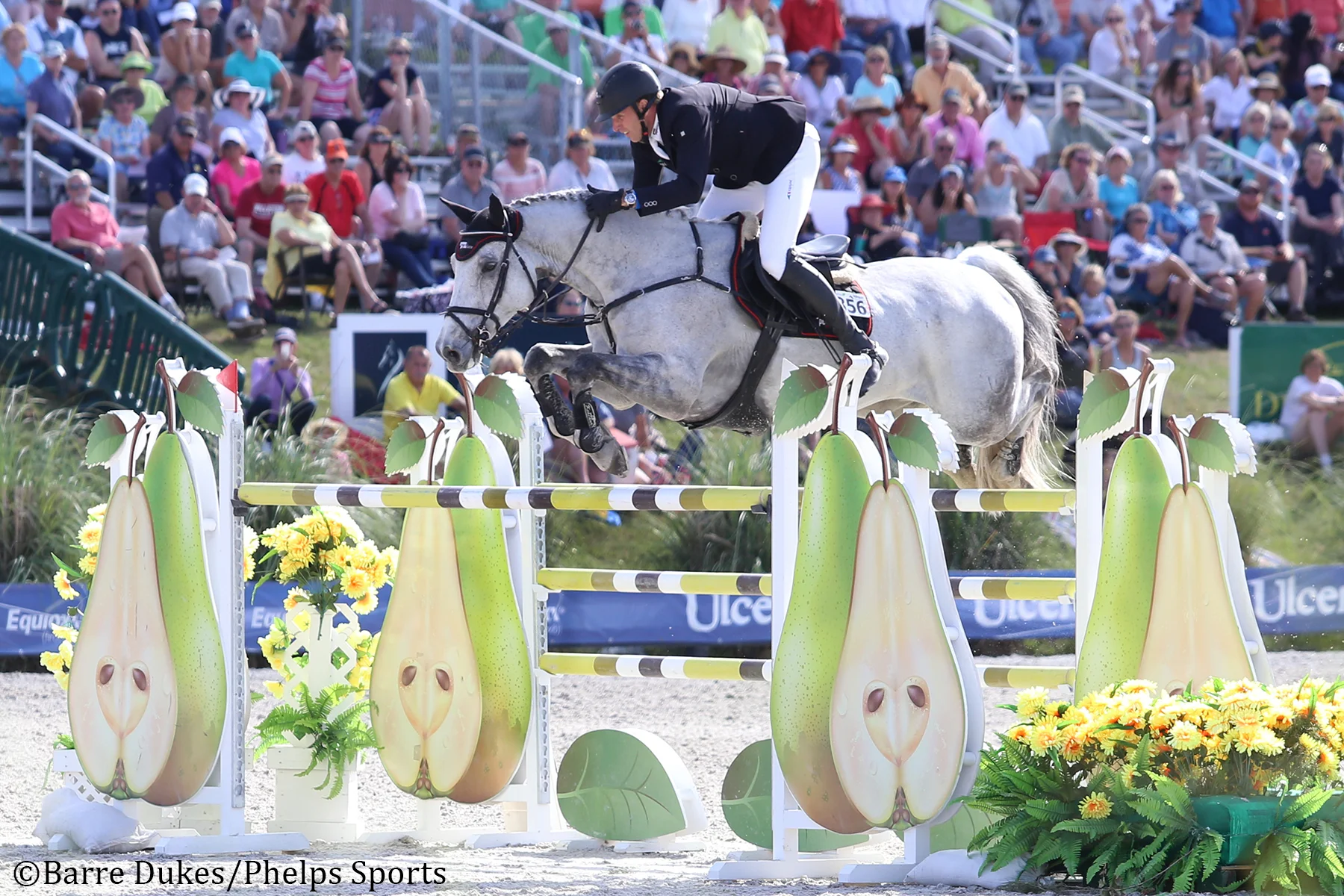 André Thieme and Conthendrix