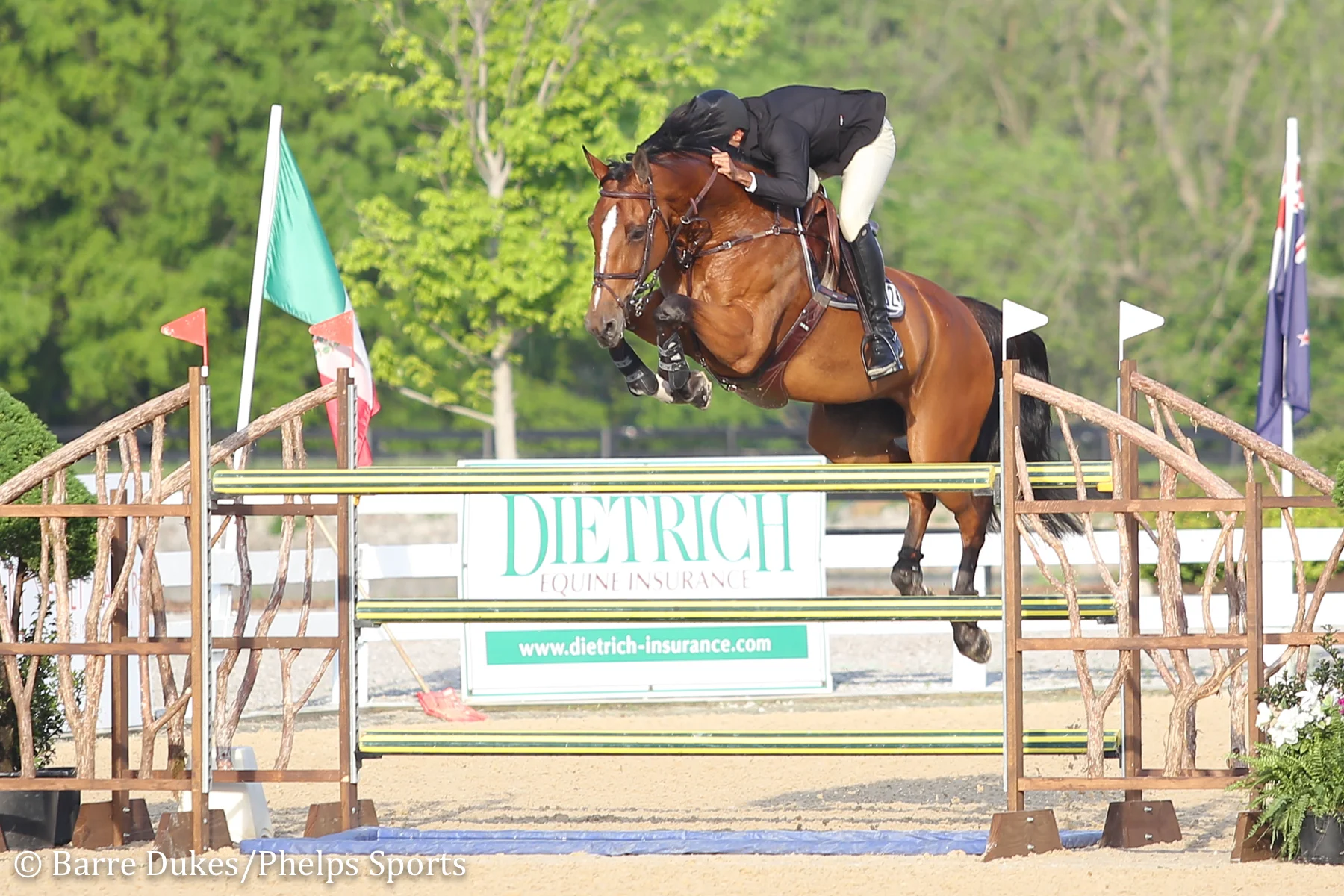 Javier Fernandez Stays on Top to Claim $5,000 Open Jumpers with Diamond Dream