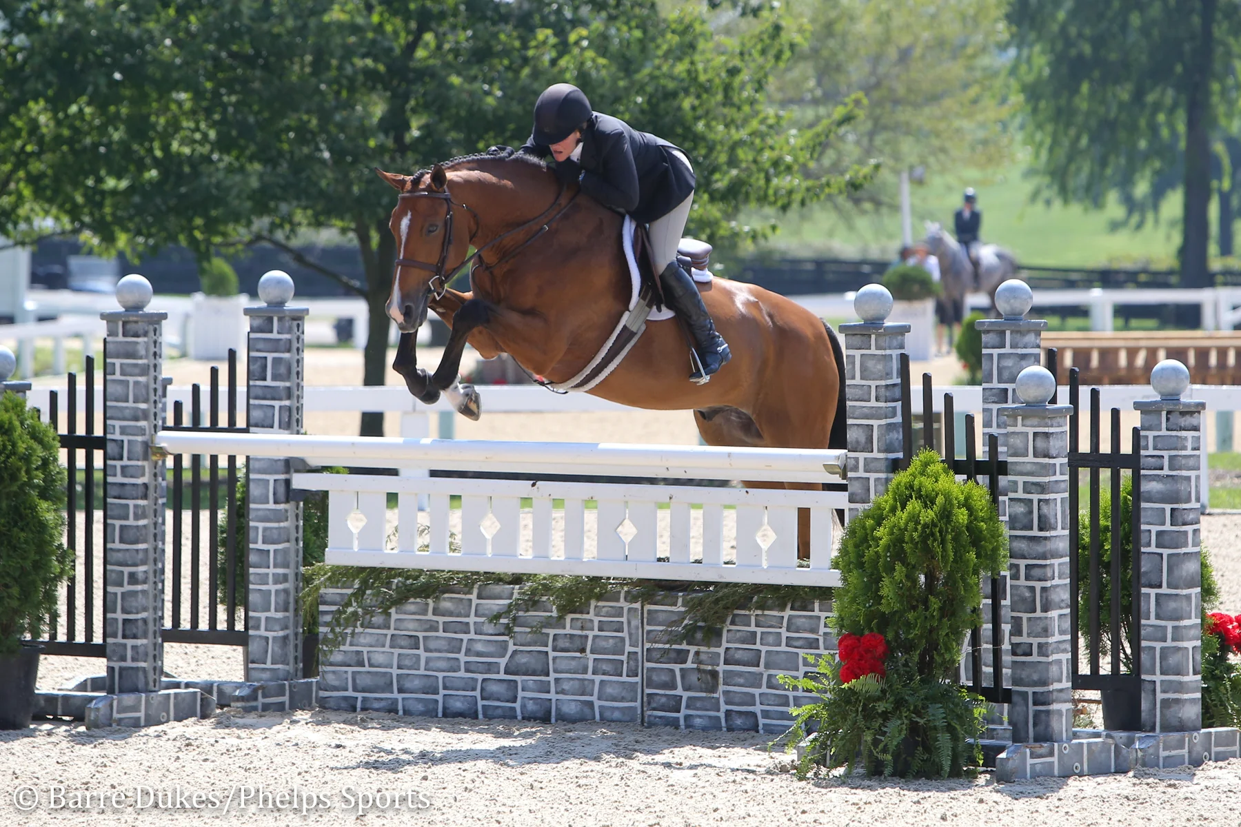 Kelley Farmer and Because Best Competition to Capture Professional Hunter Grand Championship at Kentucky Summer Horse Show