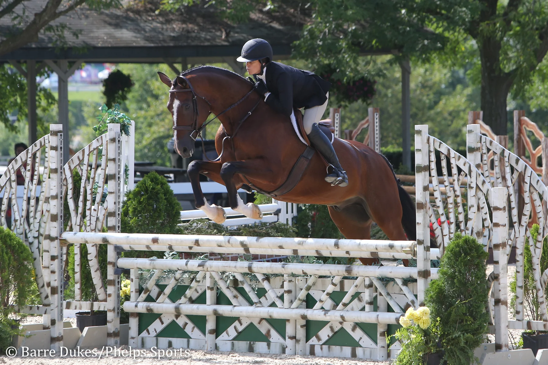 Lindsay Maxwell and Precedent Take the Title of Amateur Owner Hunter Grand Champion
