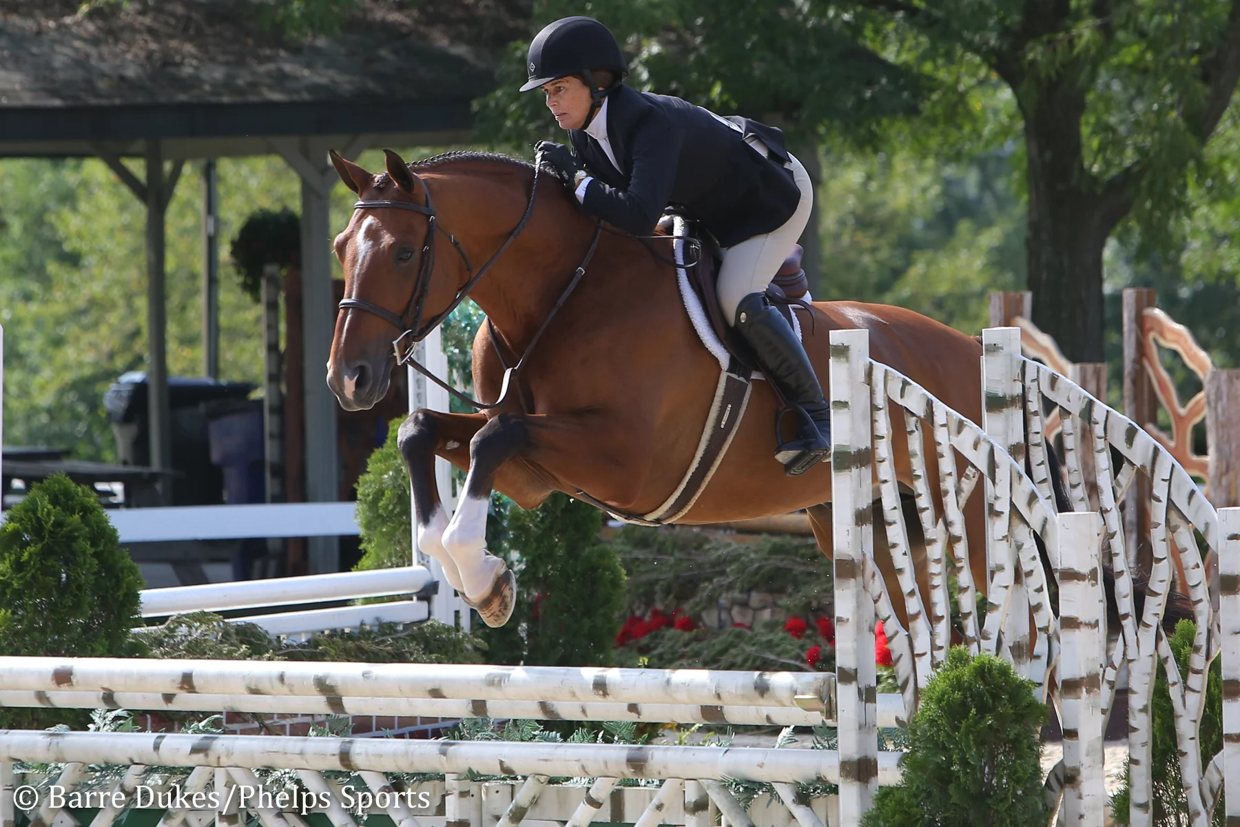 Daryl Portela and Argentus Return to the Top With Amateur-Owner Hunter Grand Championship to Conclude Kentucky Summer Classic
