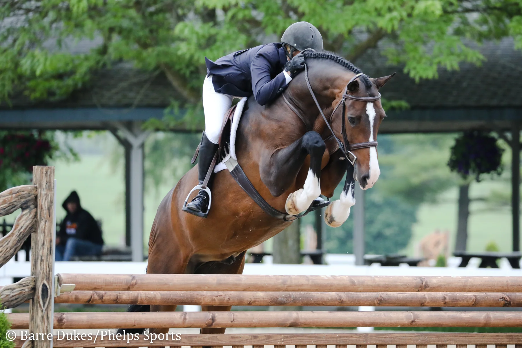 Havens Schatt is Spectacular to Win $10,000 USHJA International Hunter Derby