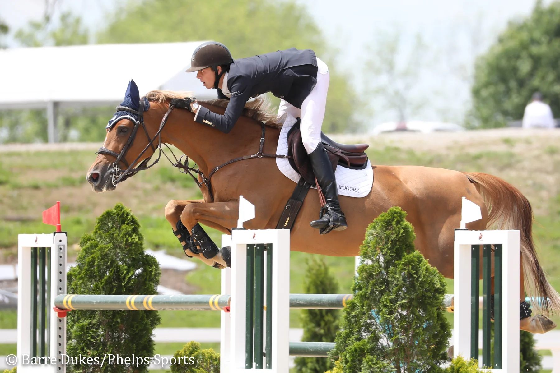 Brian Moggre Blazes to $36,000 Welcome Speed CSI3* Win With MTM Flutterby