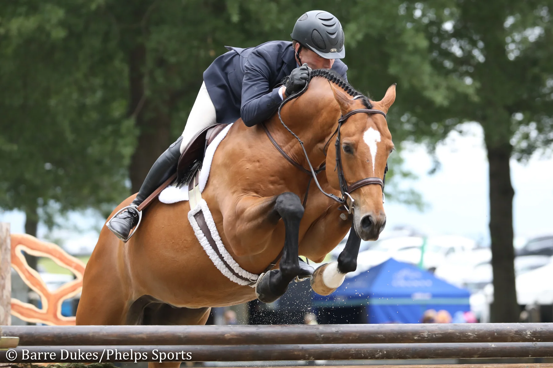 Scott Stewart Dominates Professional Hunter Divisions to Earn Grand Hunter Championship Title at Upperville Colt &amp; Horse Show