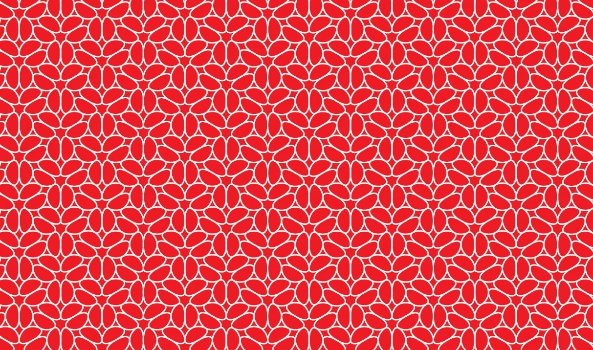 Holiday_Branding_web_pattern.jpg