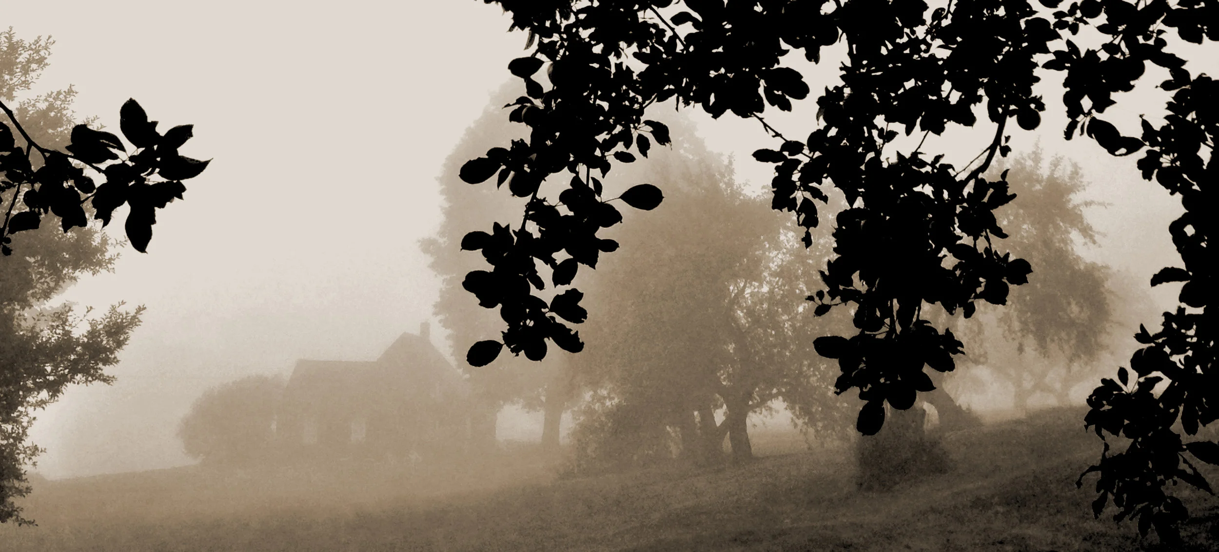 recollection