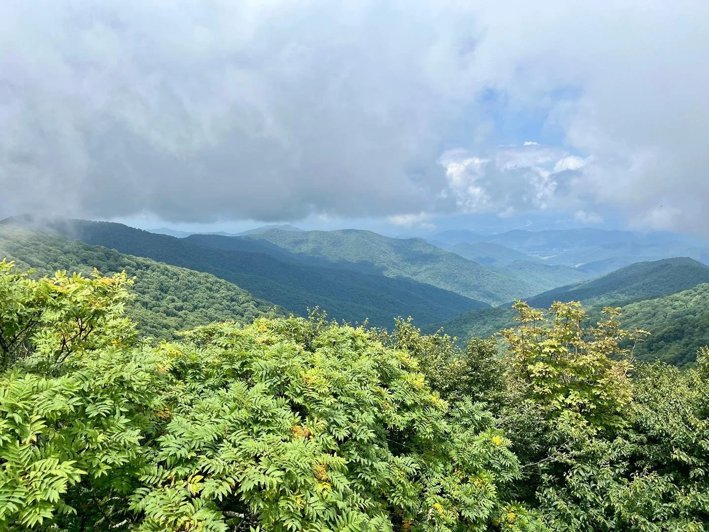 Dreamscape Meets Asana Yoga Hike