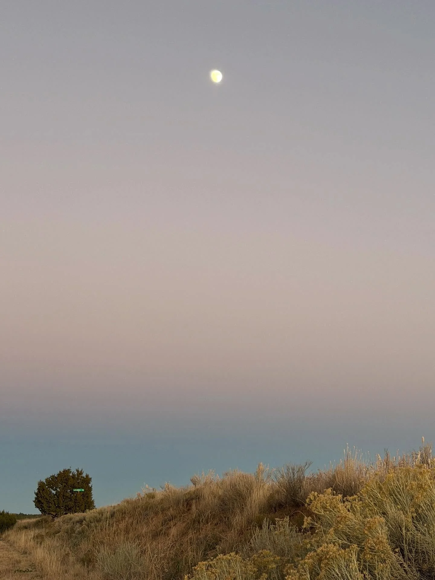 Still processing all of the goodness and growth that happened during my solo week away @jentoughgallery in Santa Fe. Space to remember all the parts of myself and move at a different pace. And art-making, as it was an art residency! Feeling so much g