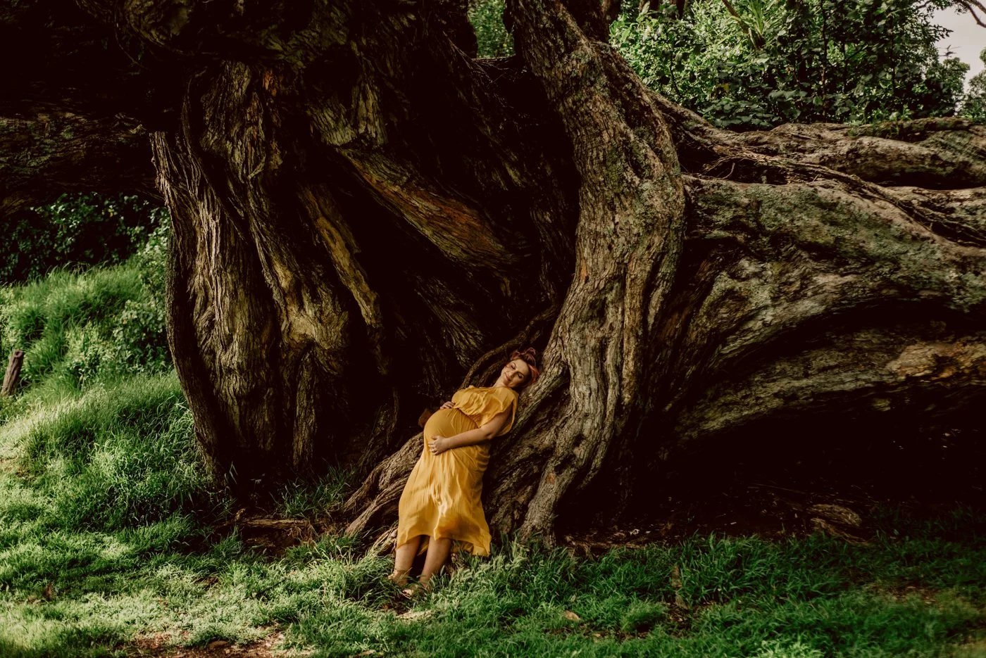 West Auckland maternity photographer