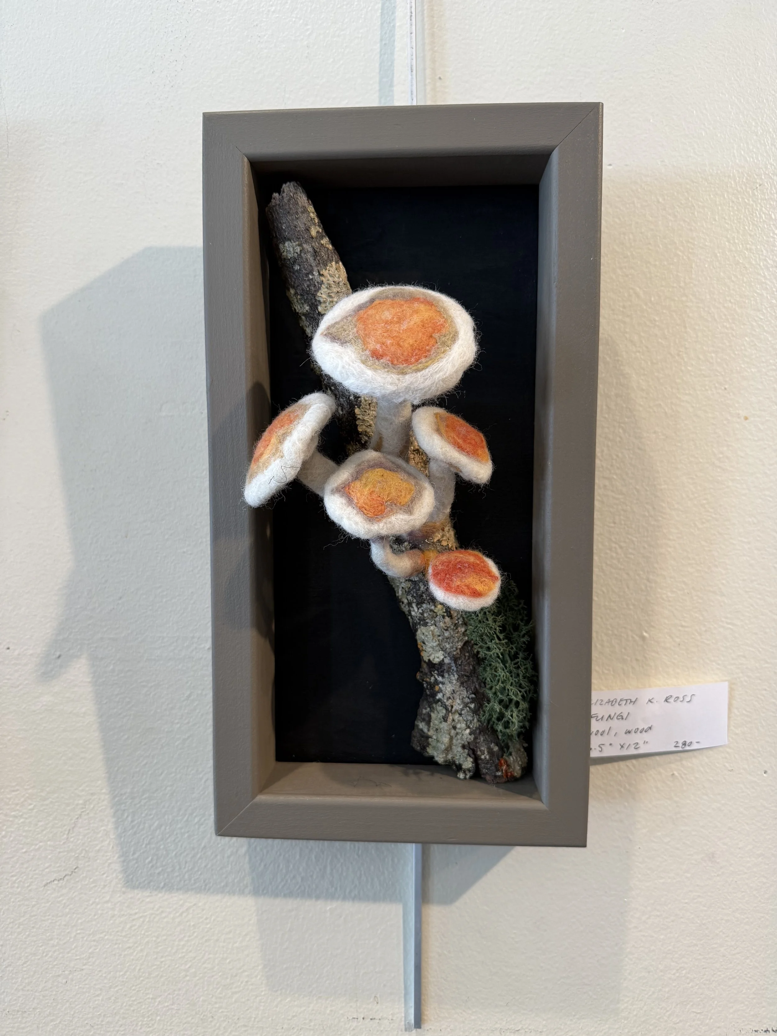 Mushrooms – Wool Felted Sculpture on Display