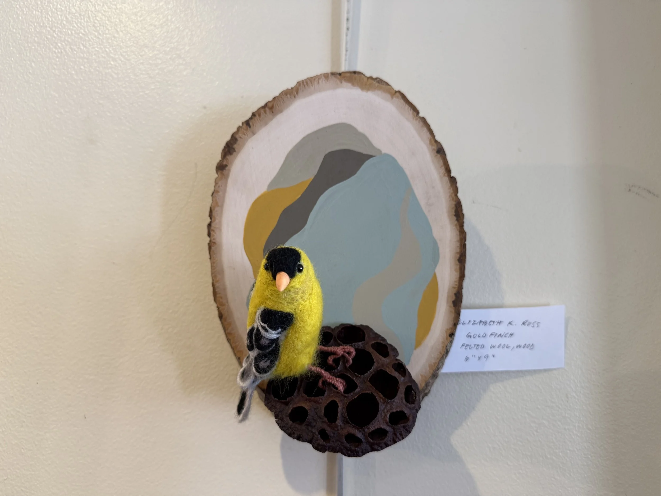 Goldfinch – Wool Felted Animal on Display