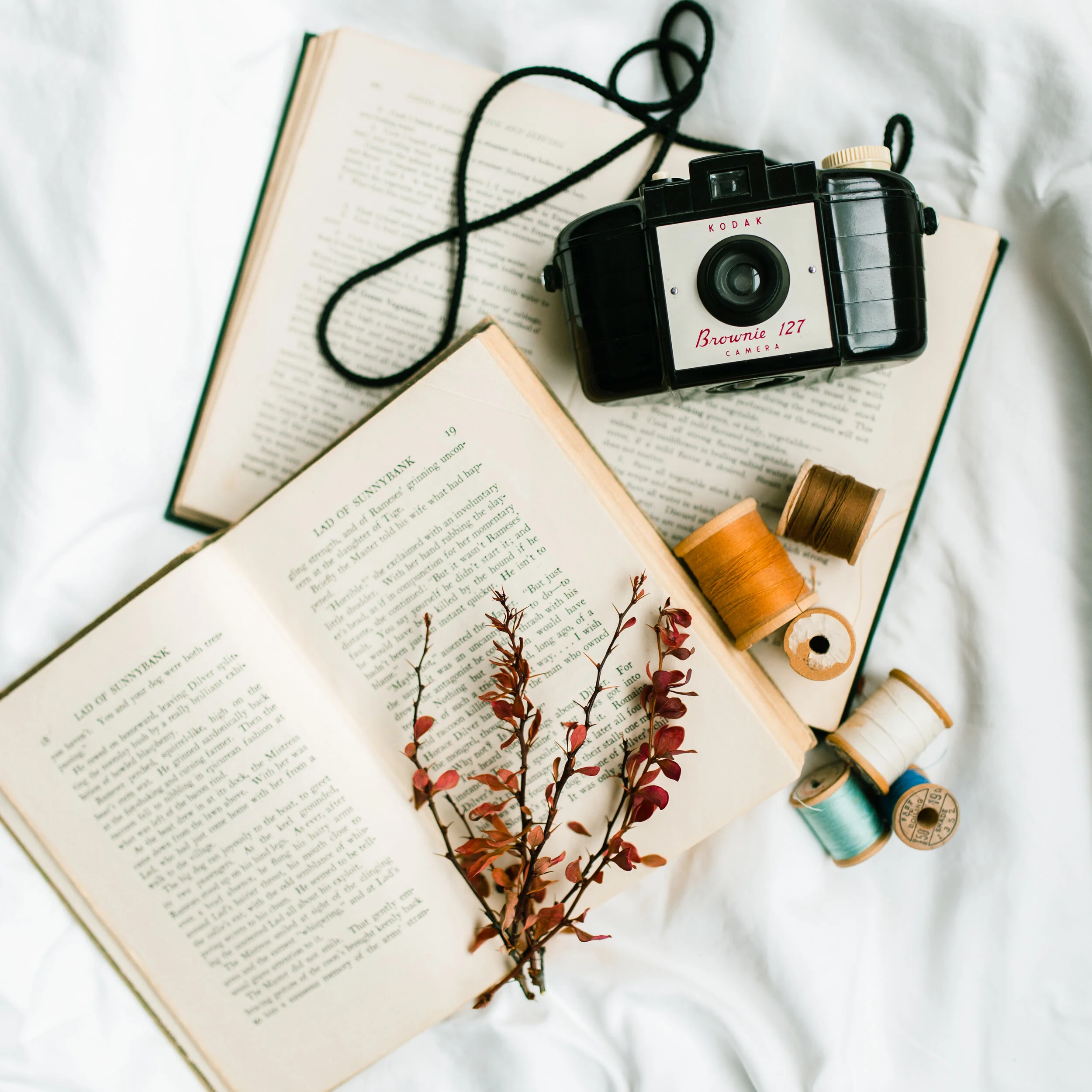 for photographers & influencers