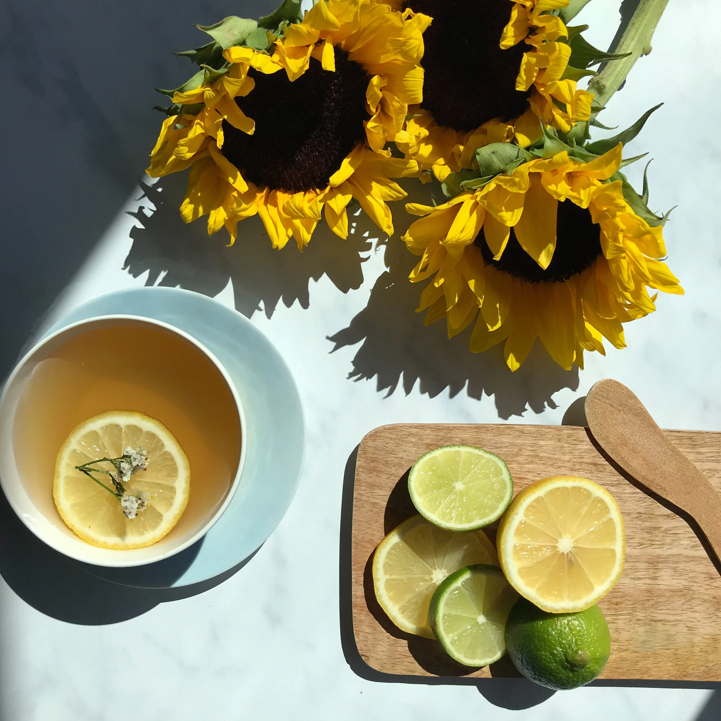 Art 1 Blush Before.JPG