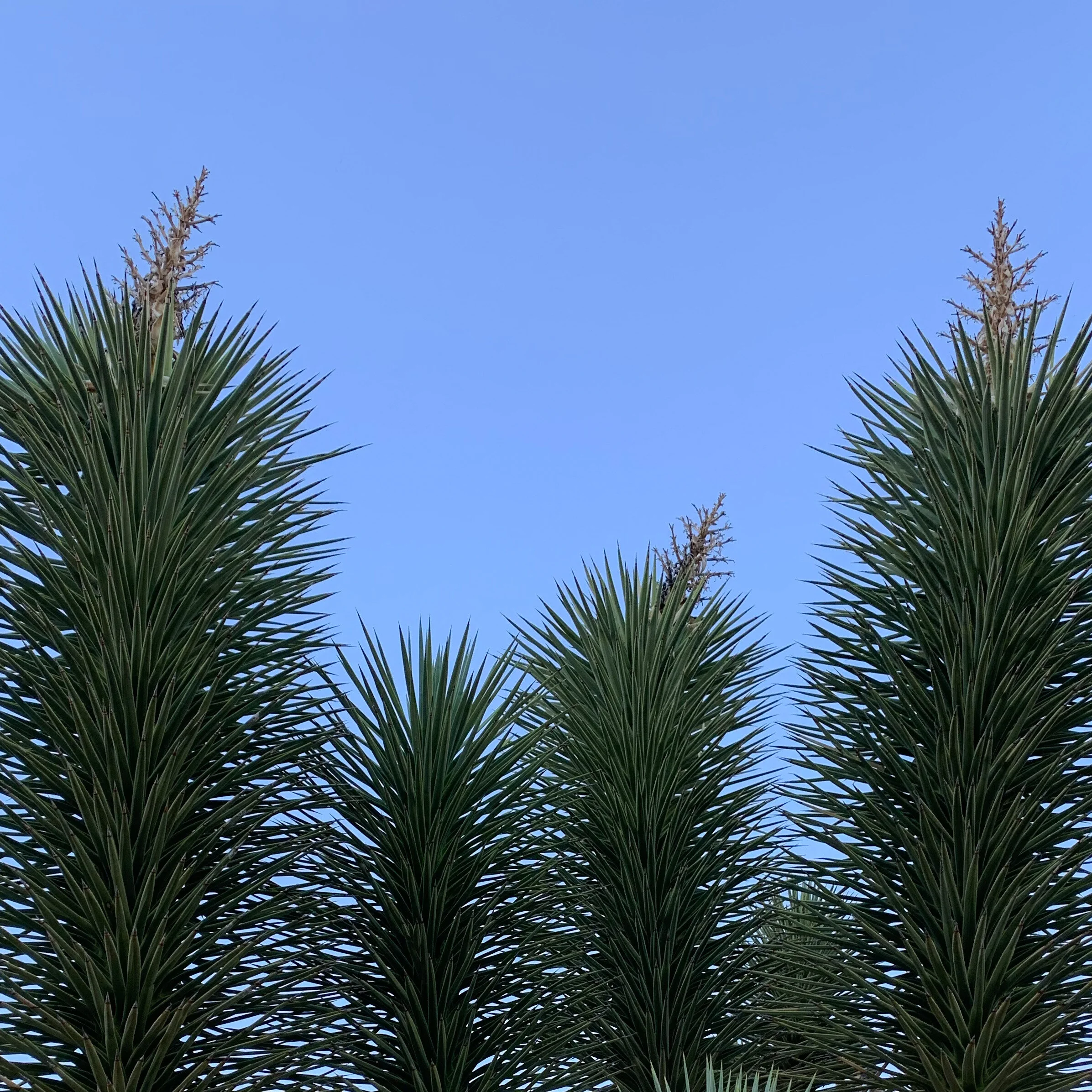 Art B&W 2 Before.JPG