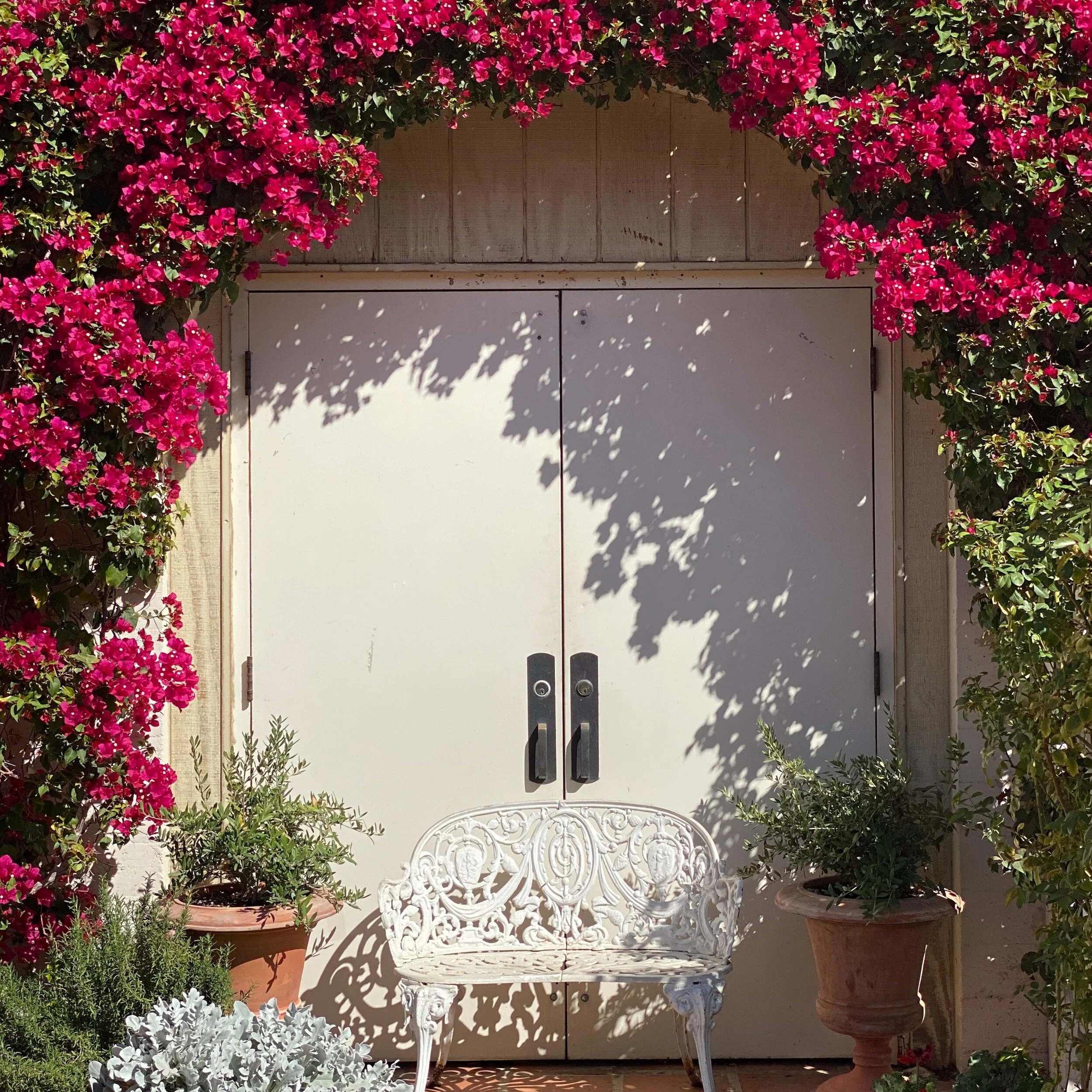 Art 1 Warm before 3.JPG