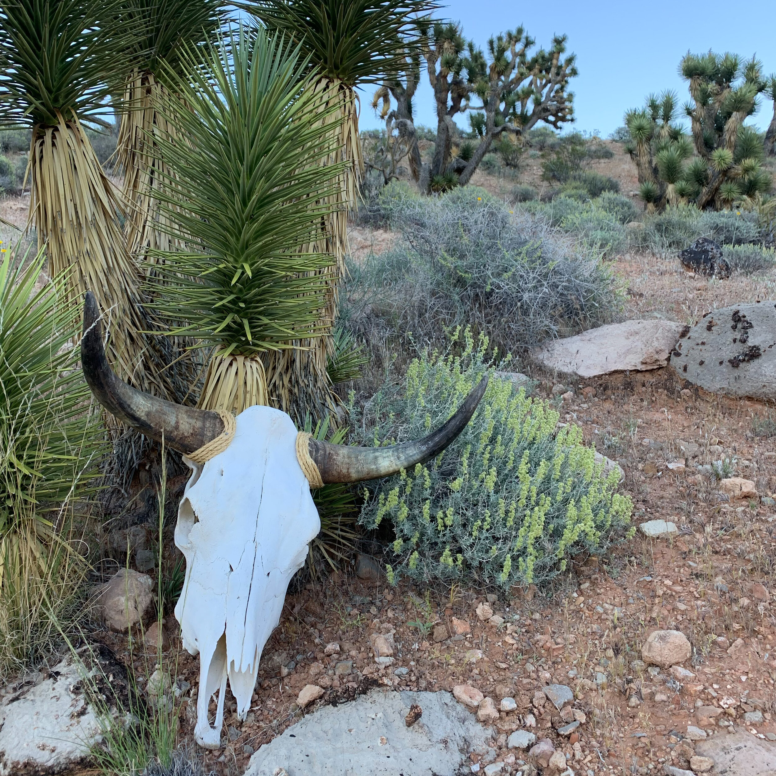 Art 6 Bright Before.JPG