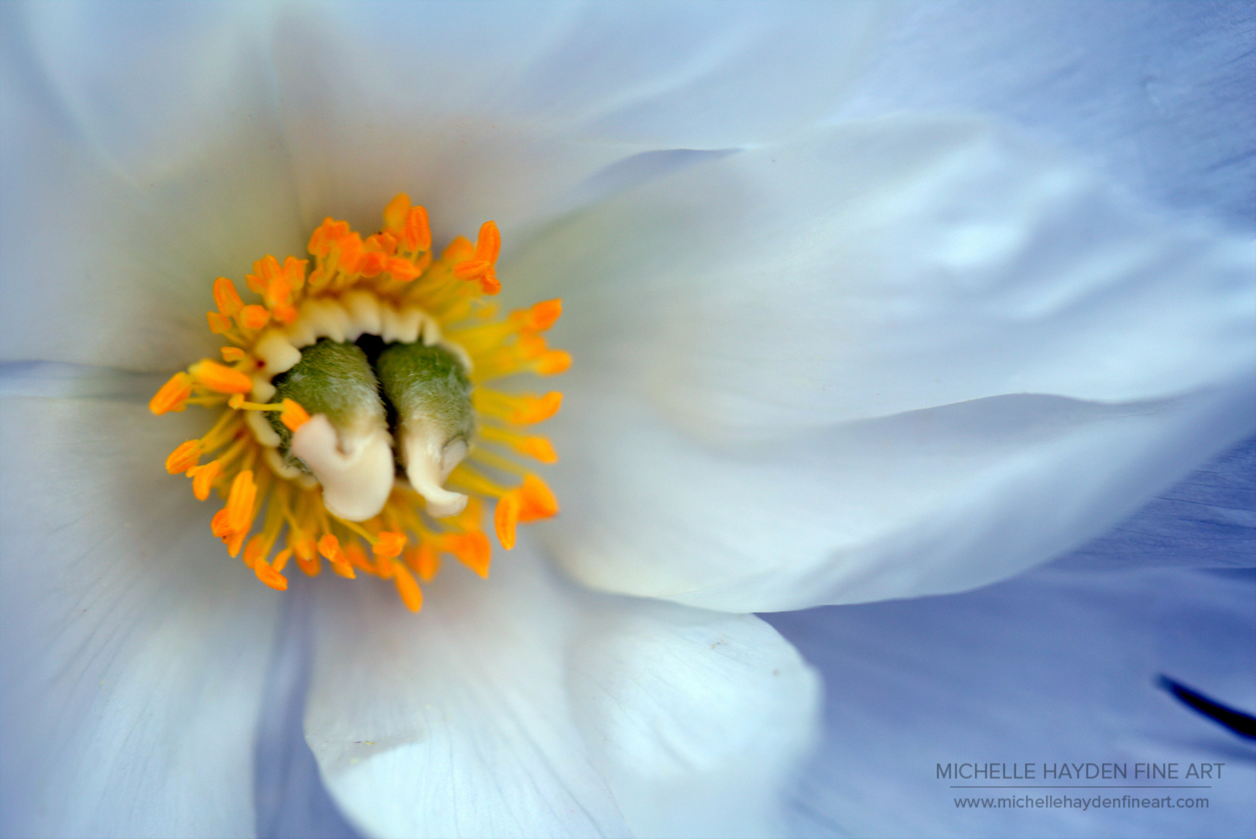 "Quiet Emergence"