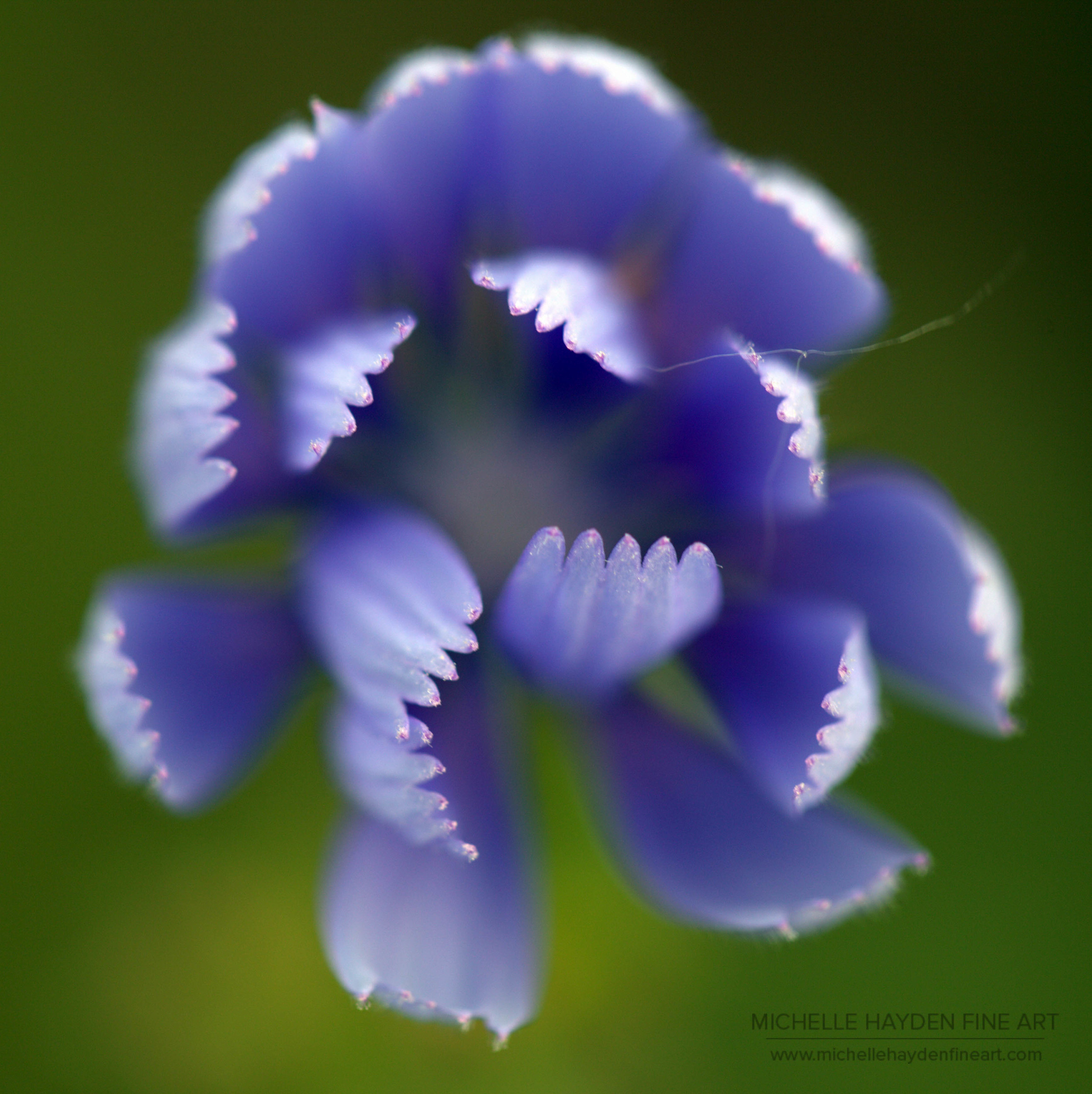 "Emergence"