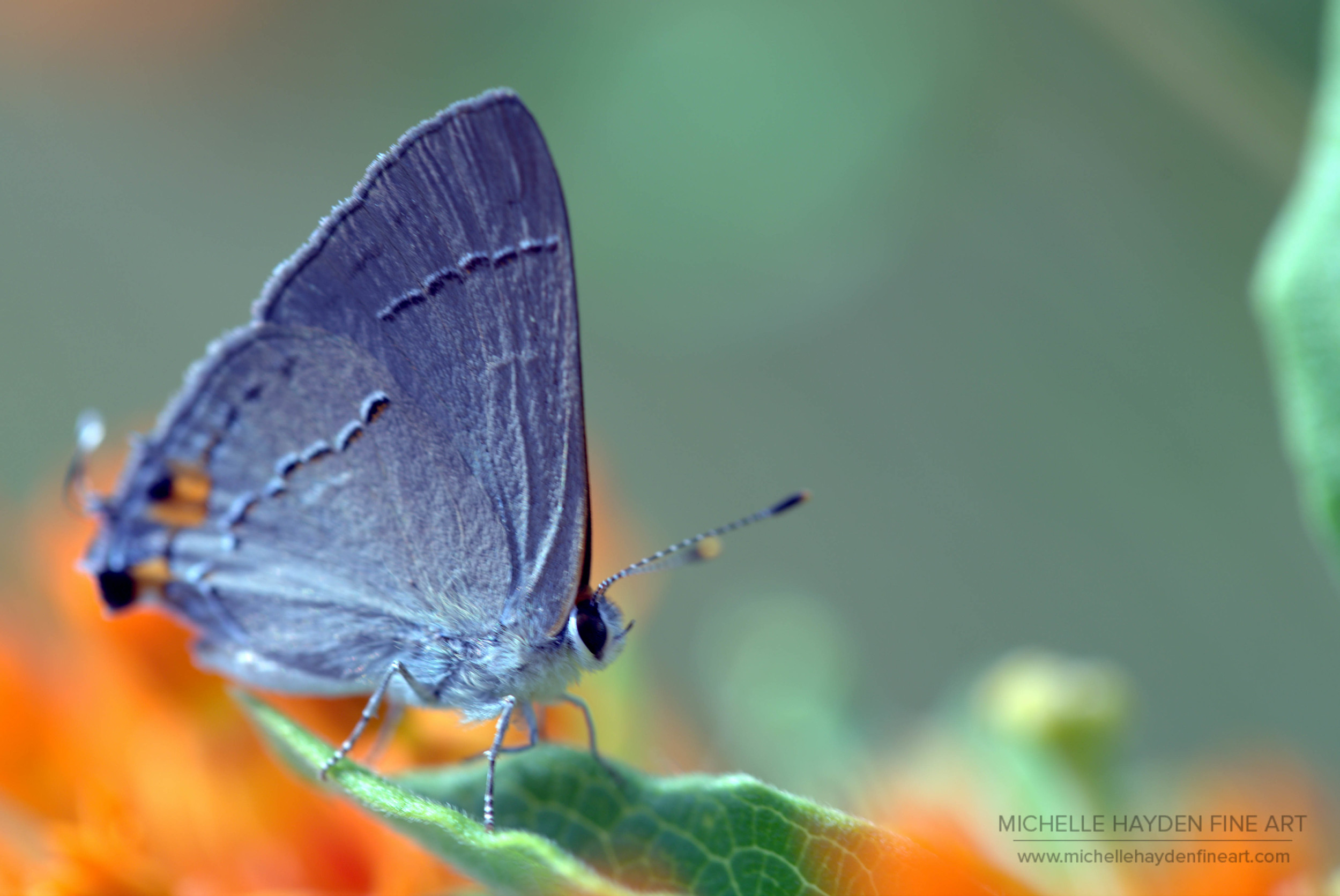 "Lightness of Being"