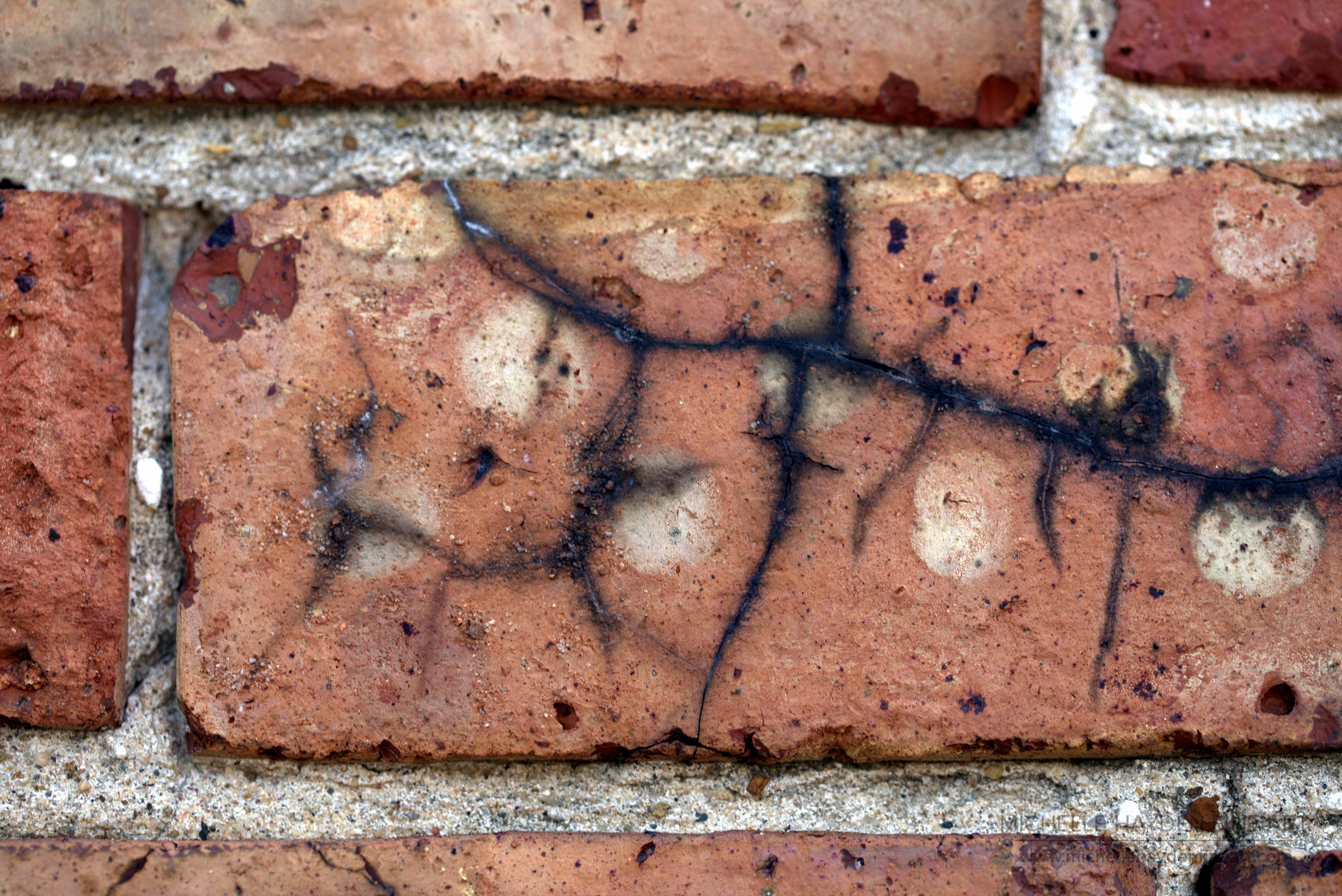 "Weathered"