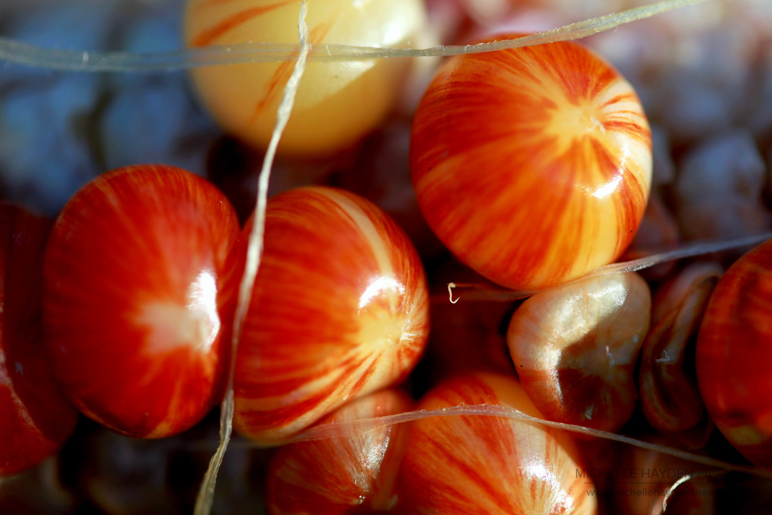 "Gratitude for the Harvest"
