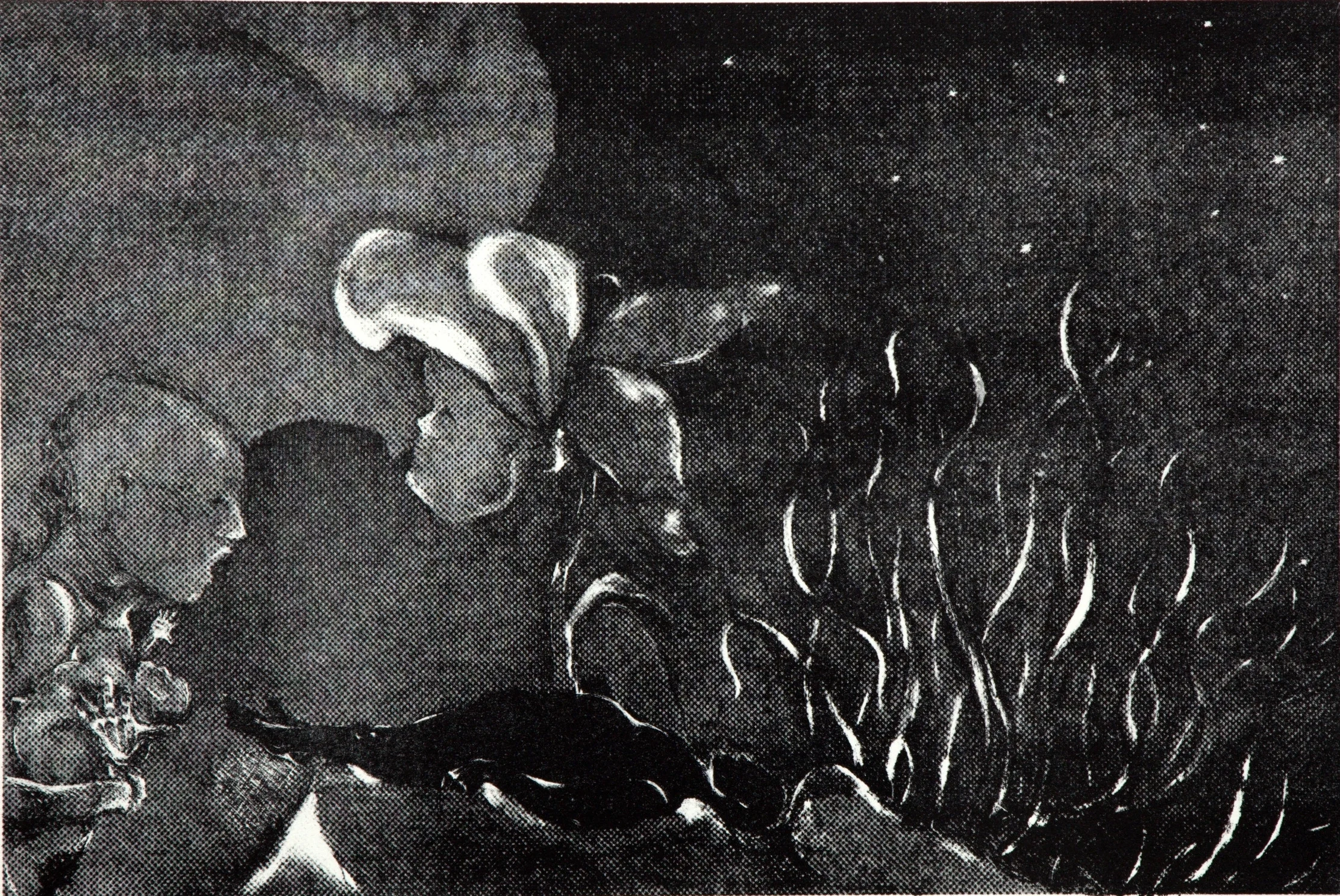 "No Words", 1989