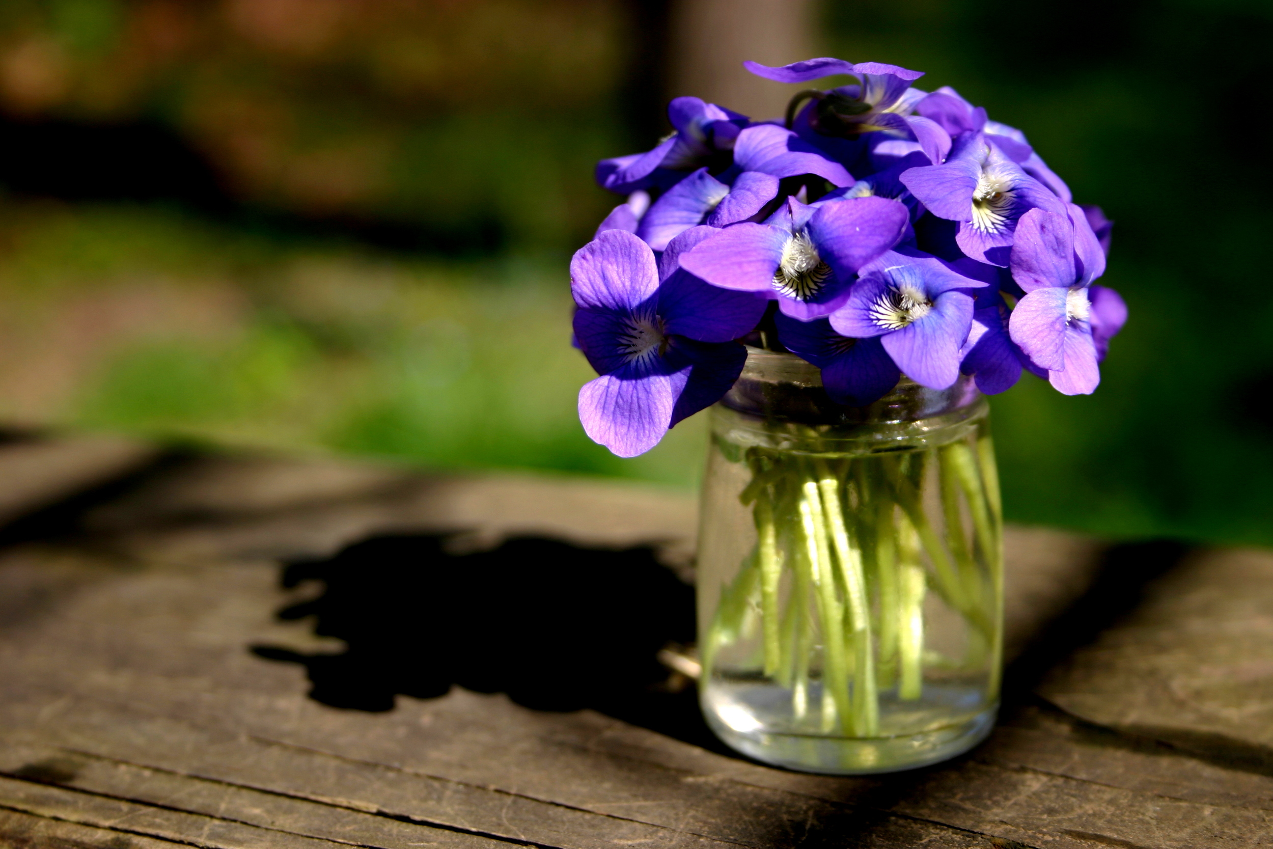 "Simple Offerings"