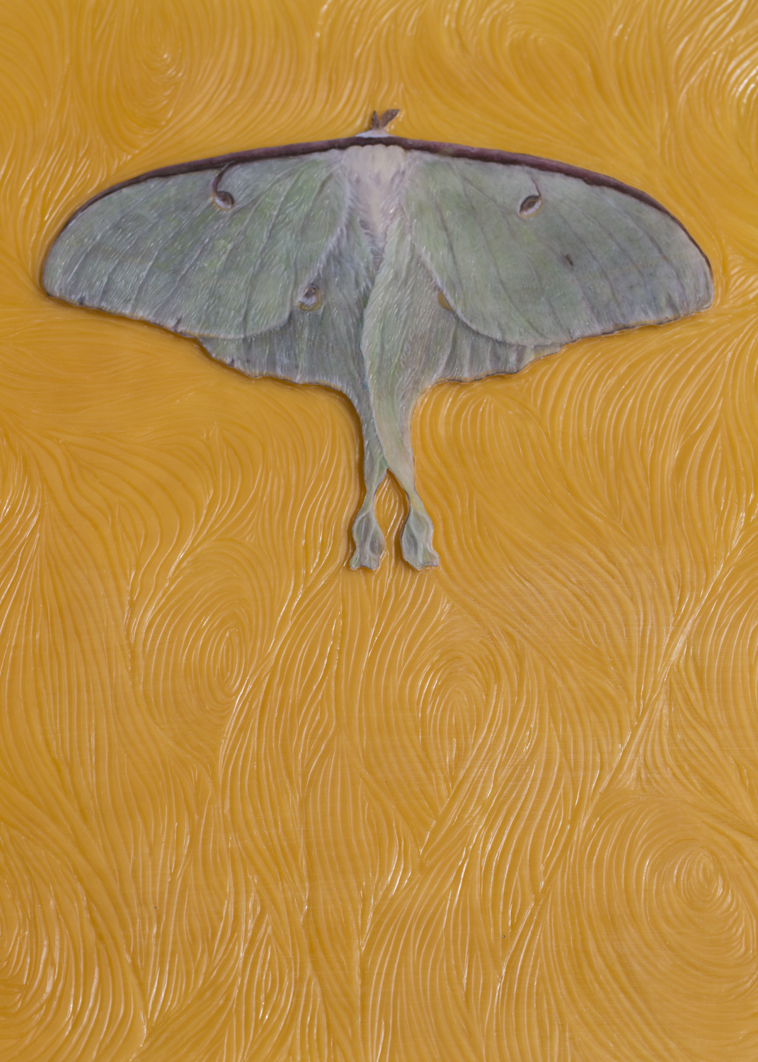 "Reverence", (28.5 x 34.5 x 2.5 in, framed)
