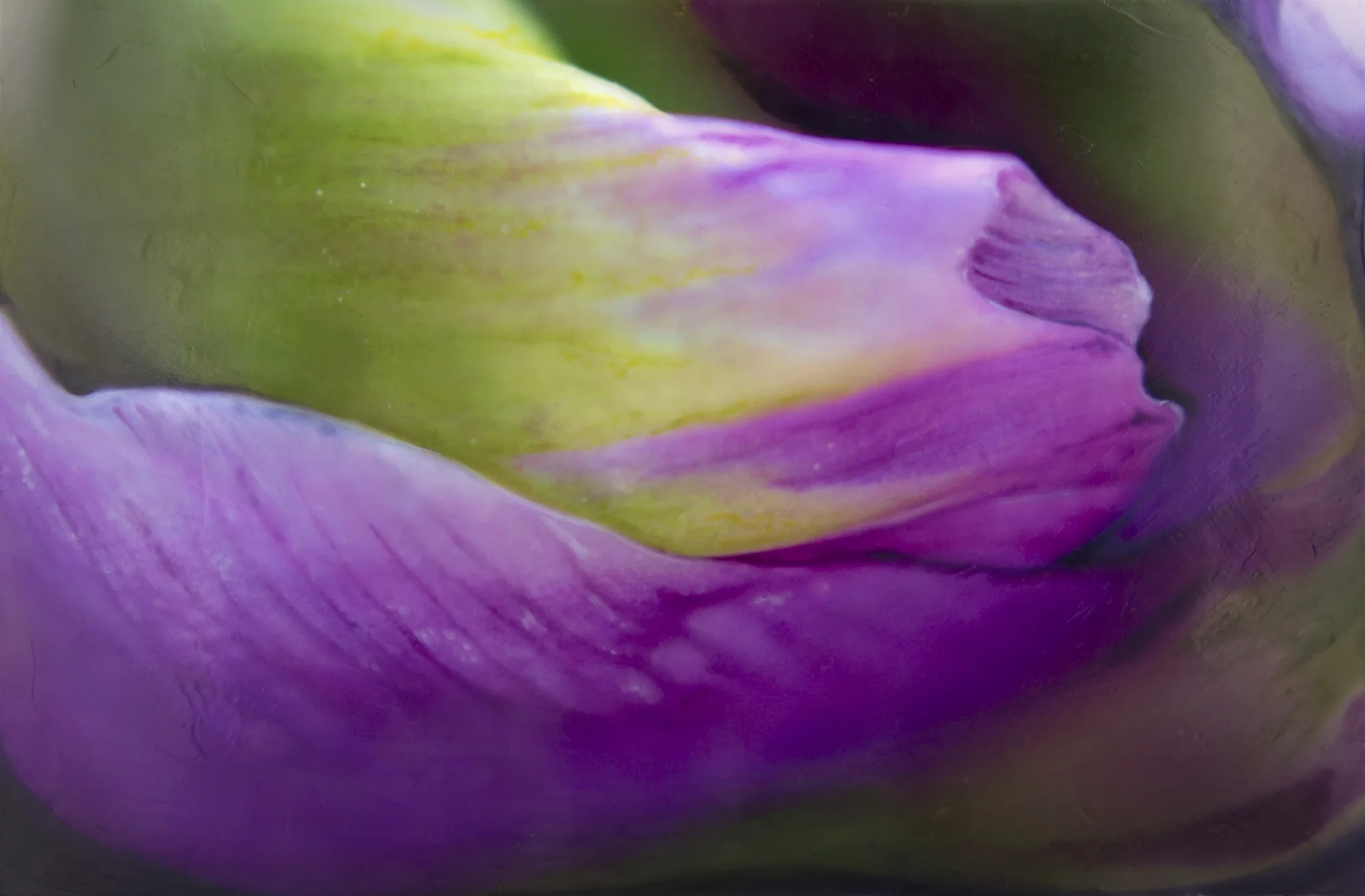 "Tender", (16 x 20 x 2.5 in, framed cradled panel)