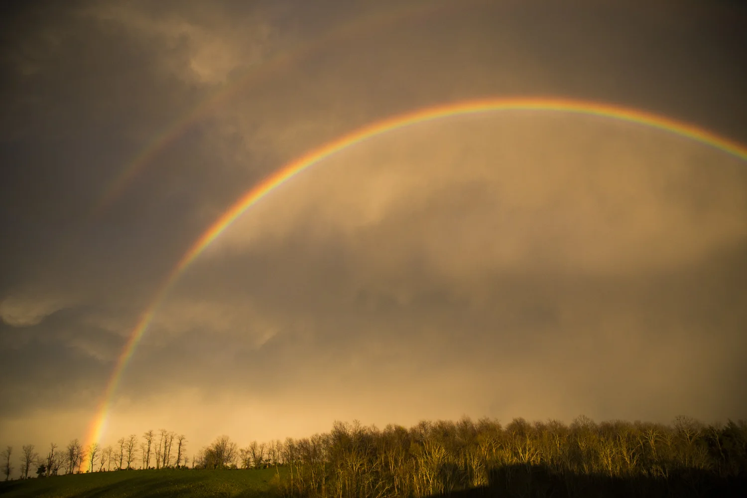 View of the most breath-taking rainbow I have ever seen, taken on our land