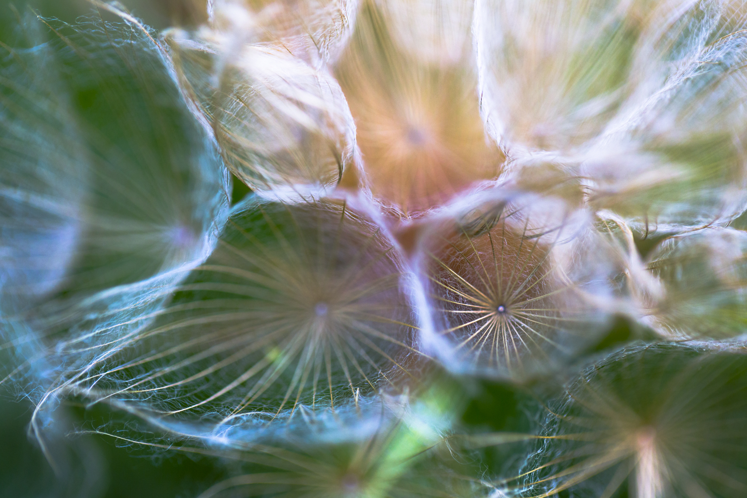 "Held by the Light"
