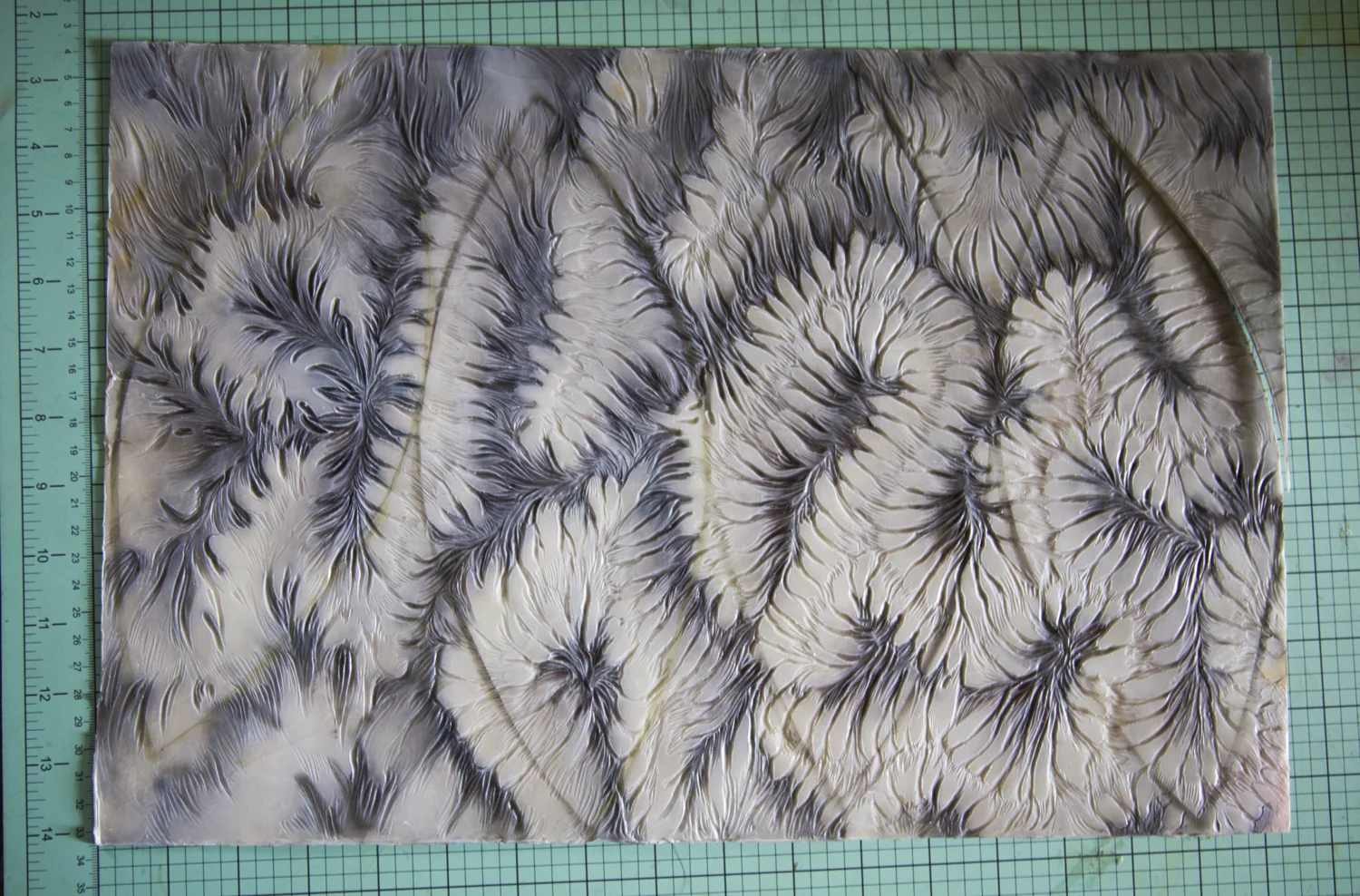 (Original photograph of coral, with relief carving into multiple layers of encaustic)