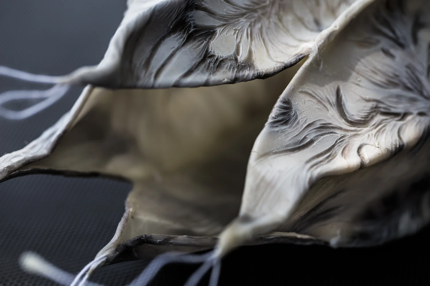 (detail, "Ascension from the Ocean Floor"... love how the light comes through the vessel)