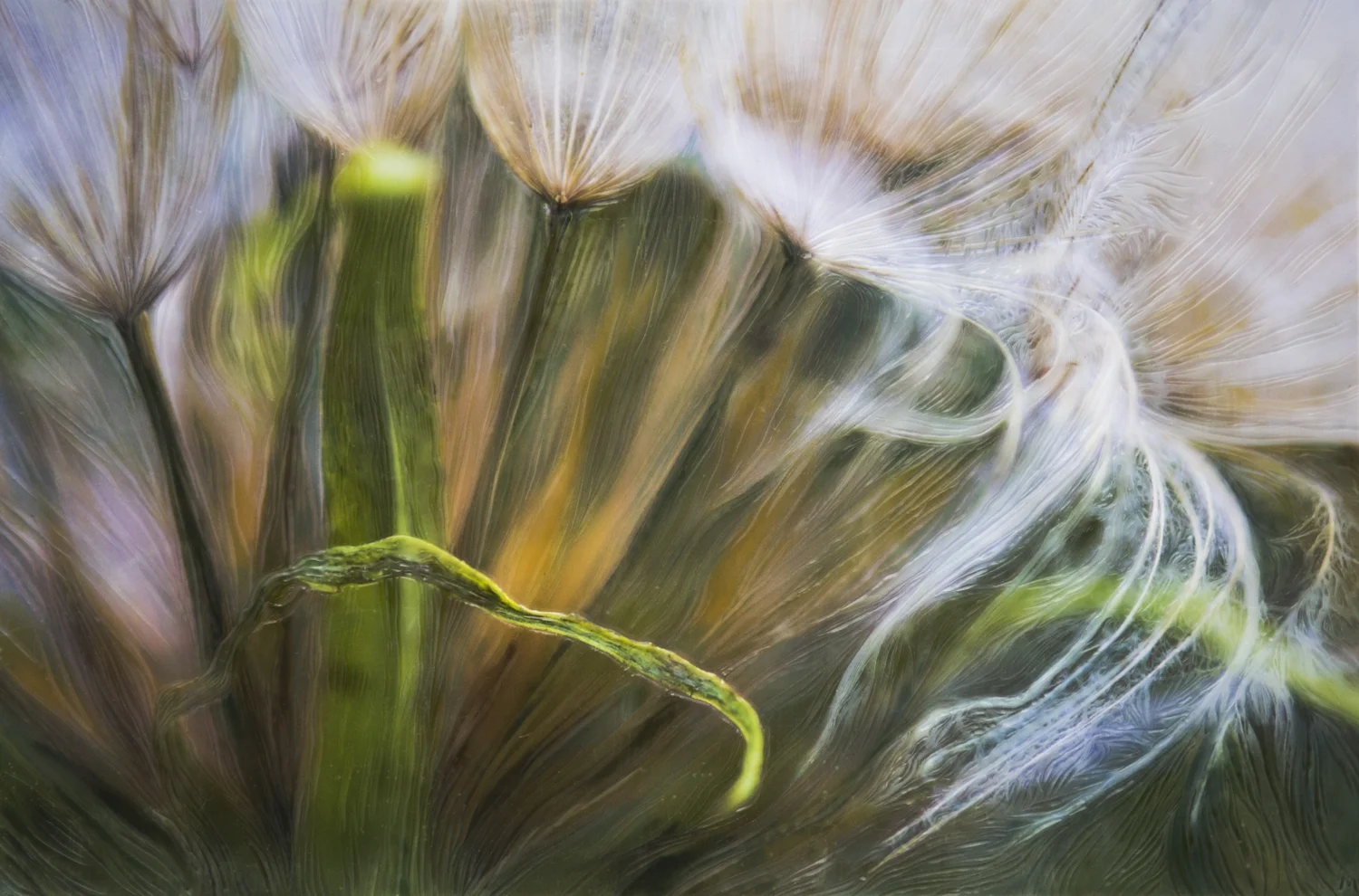 "Release", (16 x 20 x 2.5 in, framed cradled panel)