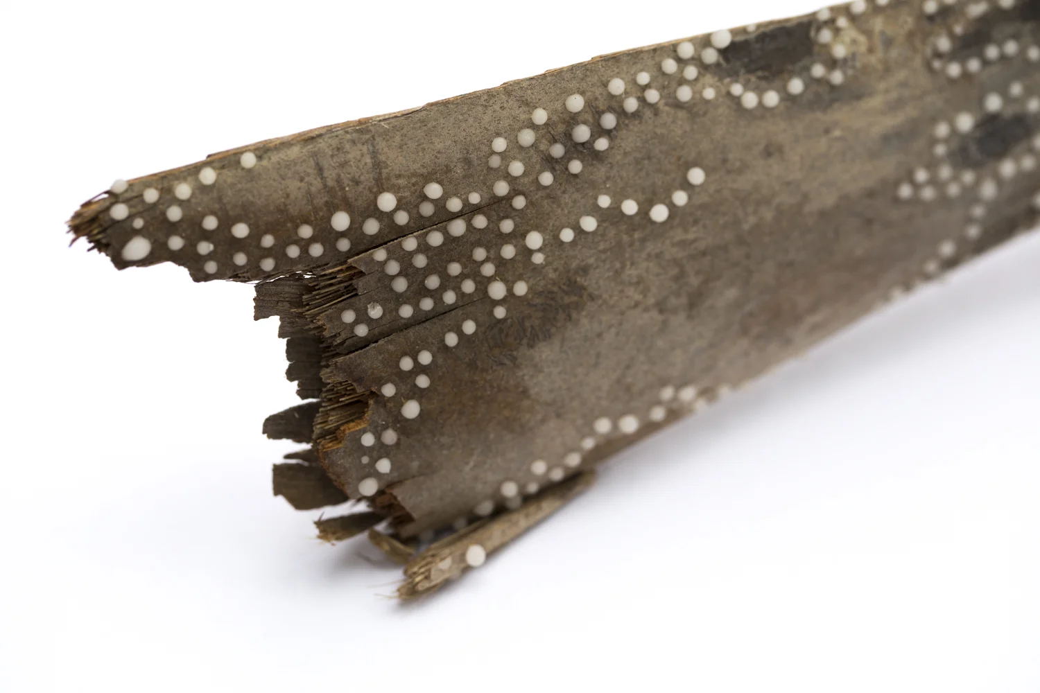 "In These Bones"", (detail)