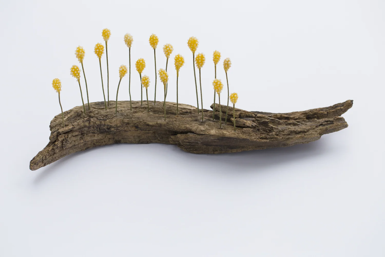 "Stand in the Place You Need to Be", (2016), (8 x 14 x 5 inches)