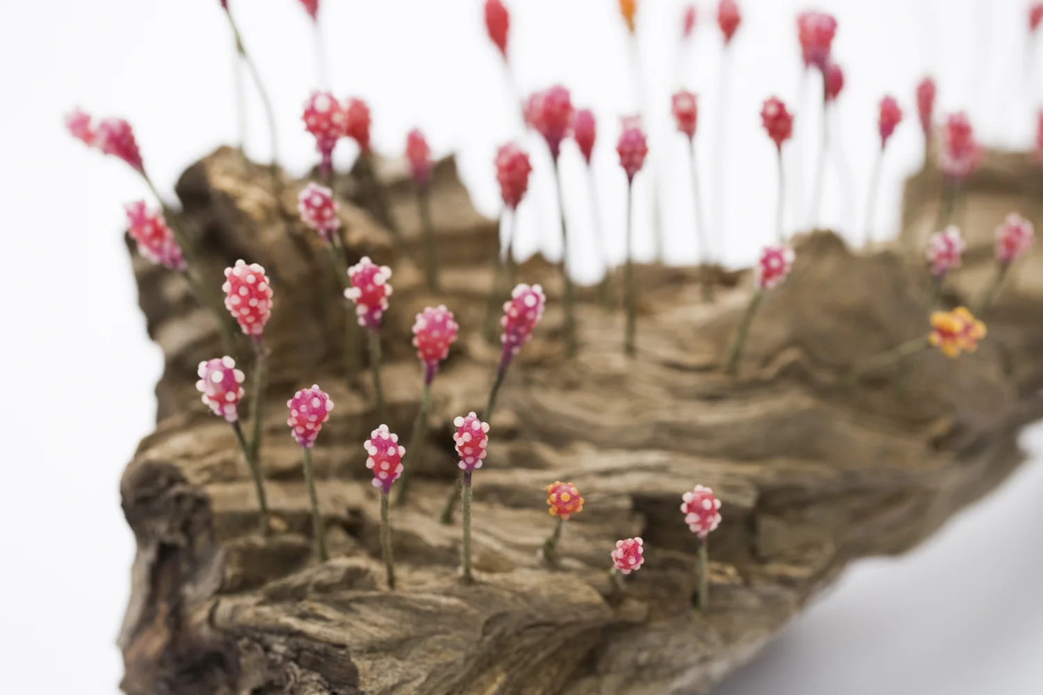 "Tiny Forests in a Big World", (detail)