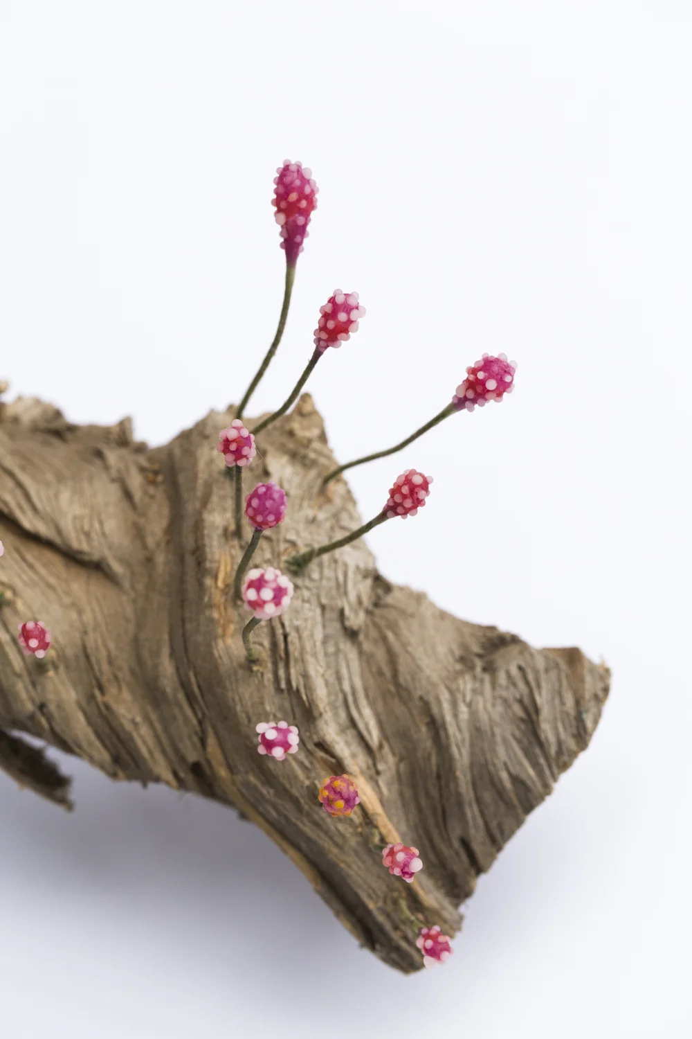 "Tiny Forests in a Big World", (detail)