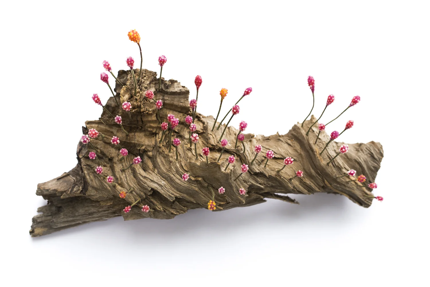 "Tiny Forests in a Big World", 2016, (11 x 19 x 10 inches)